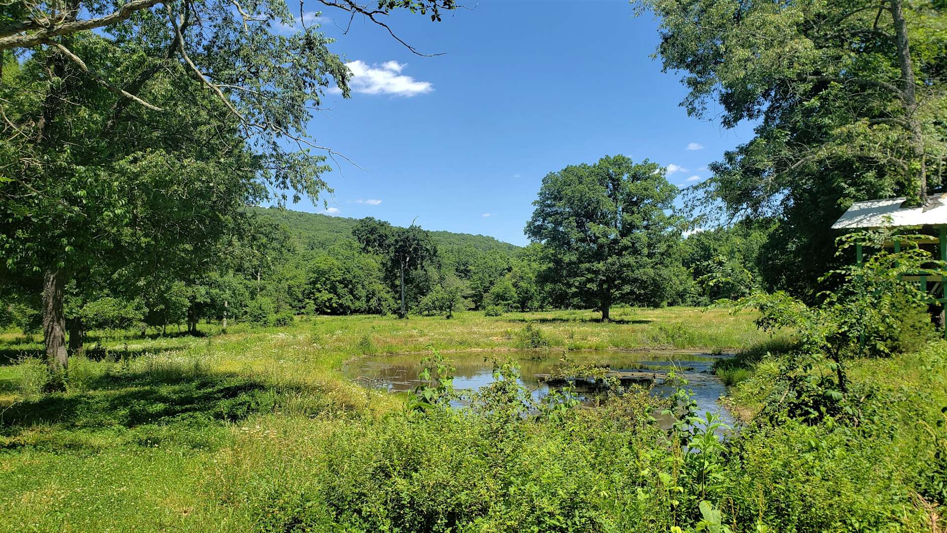 Arcadia Valley BaseCamp Hipcamp in , Missouri
