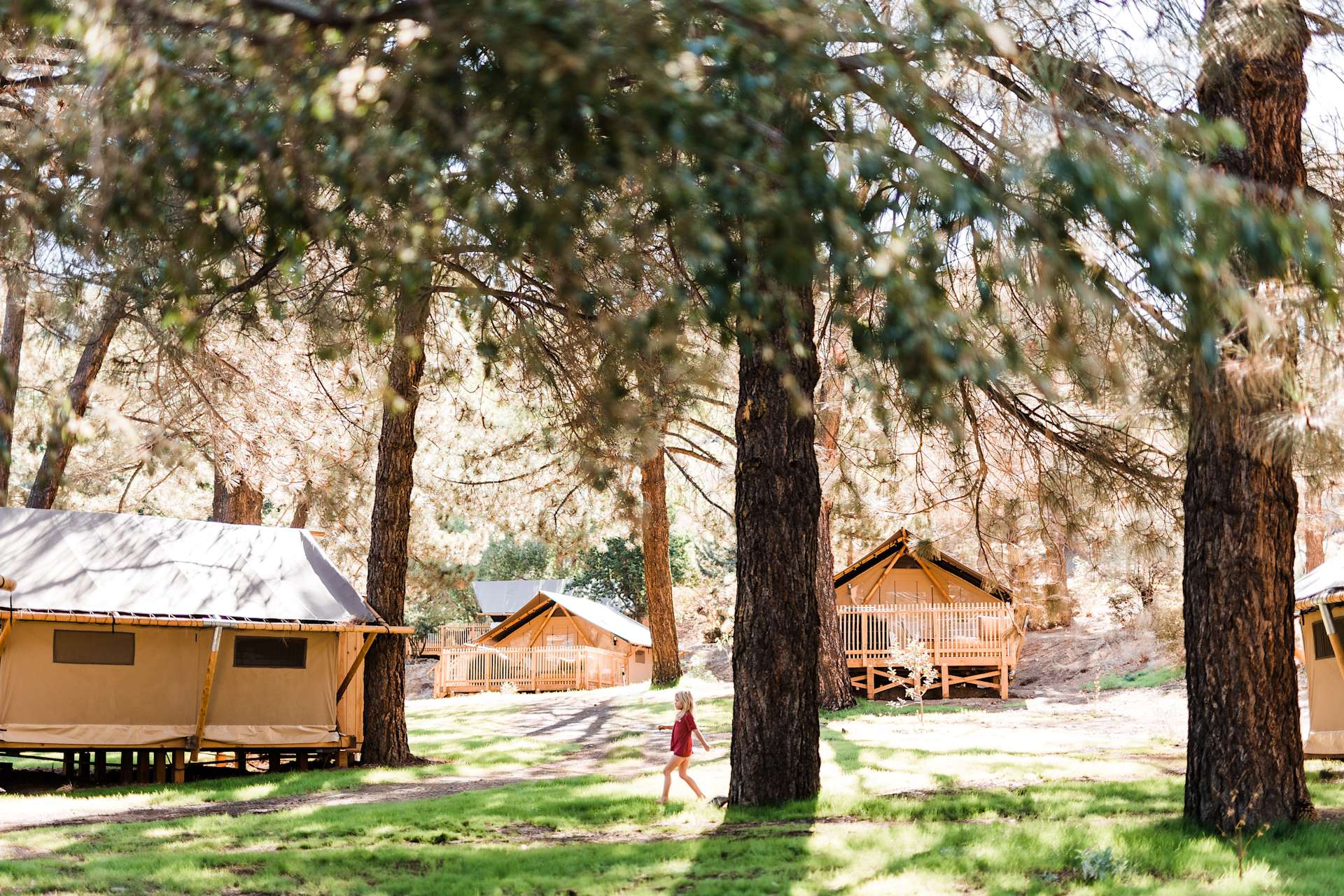 Huttopia Paradise Springs Hipcamp in Valyermo, California