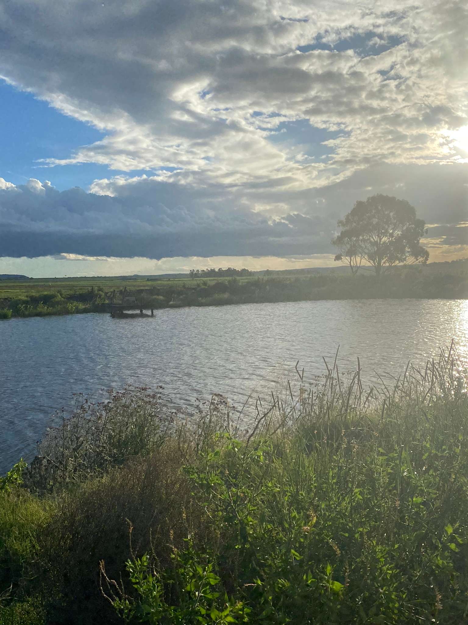 Windy Acres Farm Hipcamp in Westbrook, Queensland