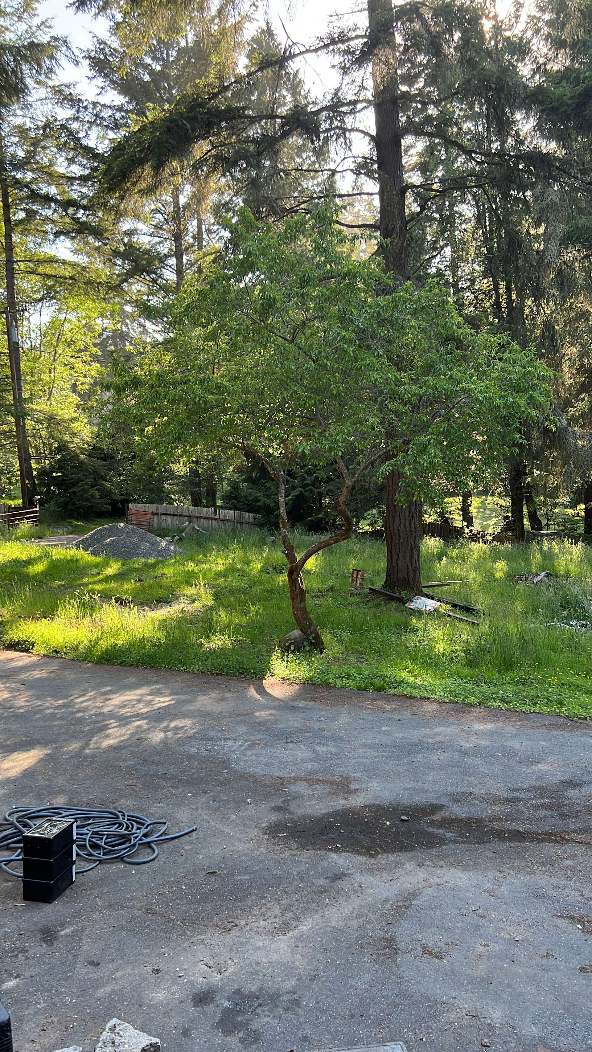 Mad River disc golf ⛳️ Hipcamp in Arcata, California