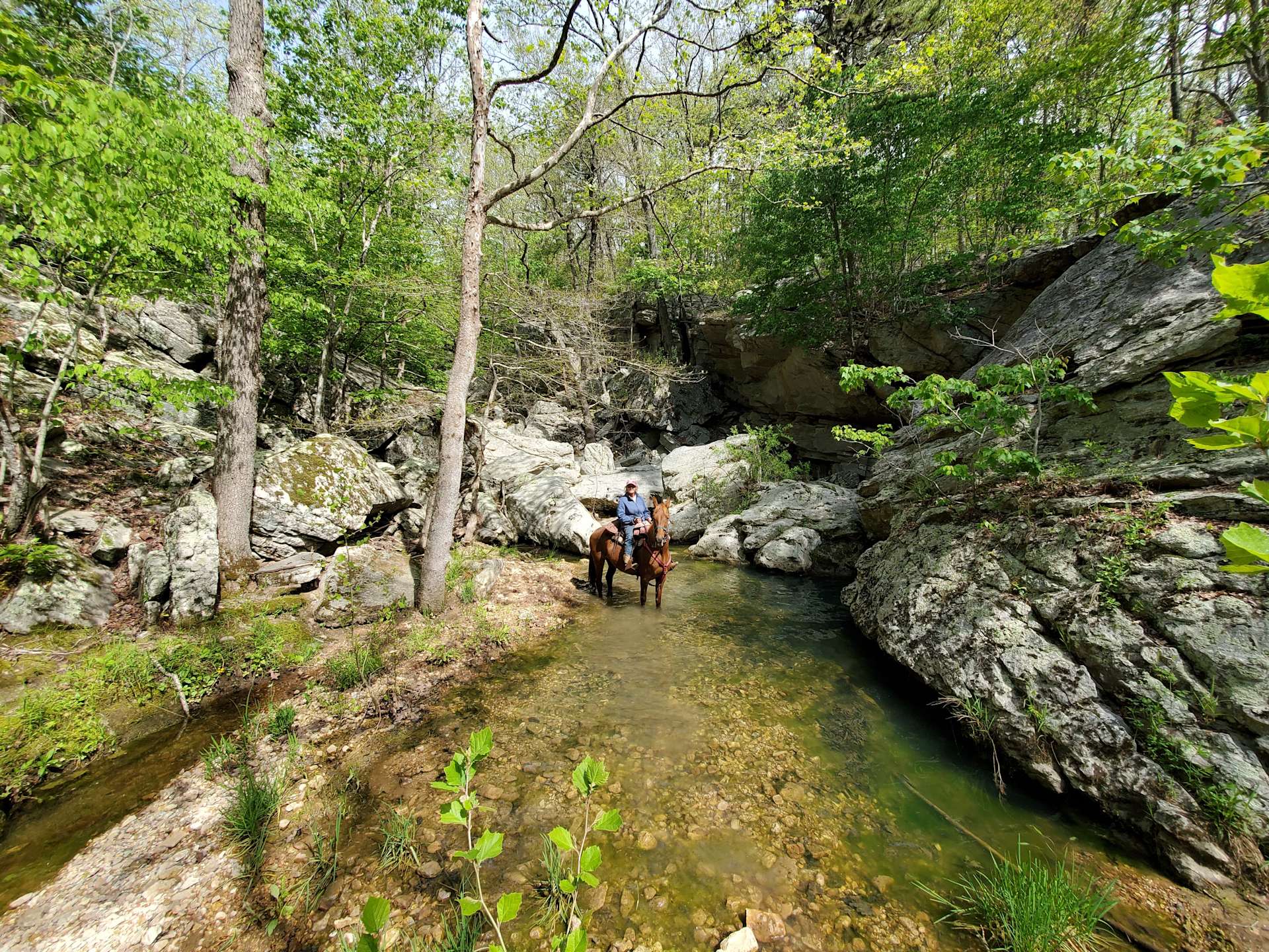 Slabtown Horse Camp LLC Hipcamp in , Missouri