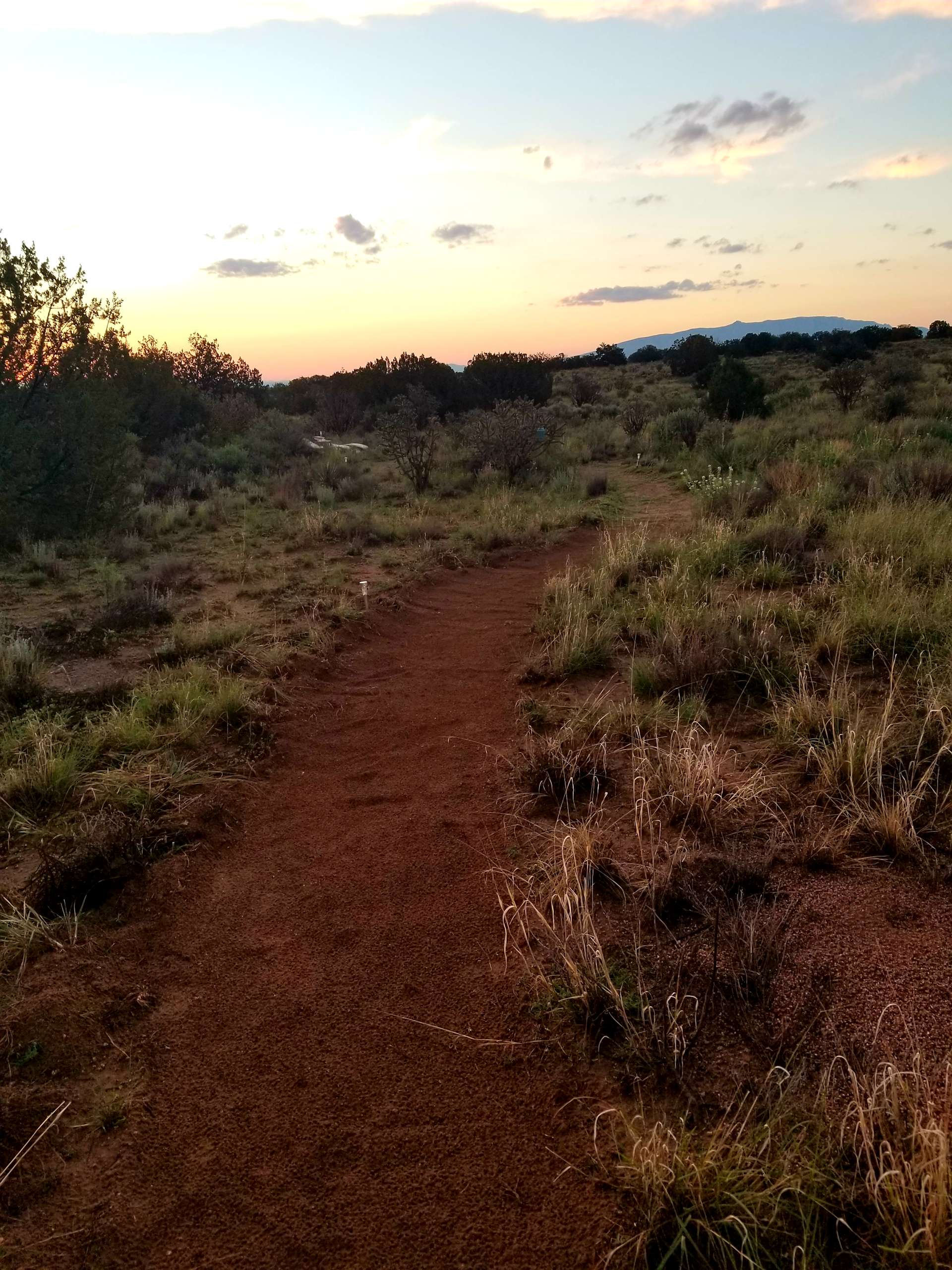 High Desert Sanctuary Hipcamp in Rio Rancho, New Mexico