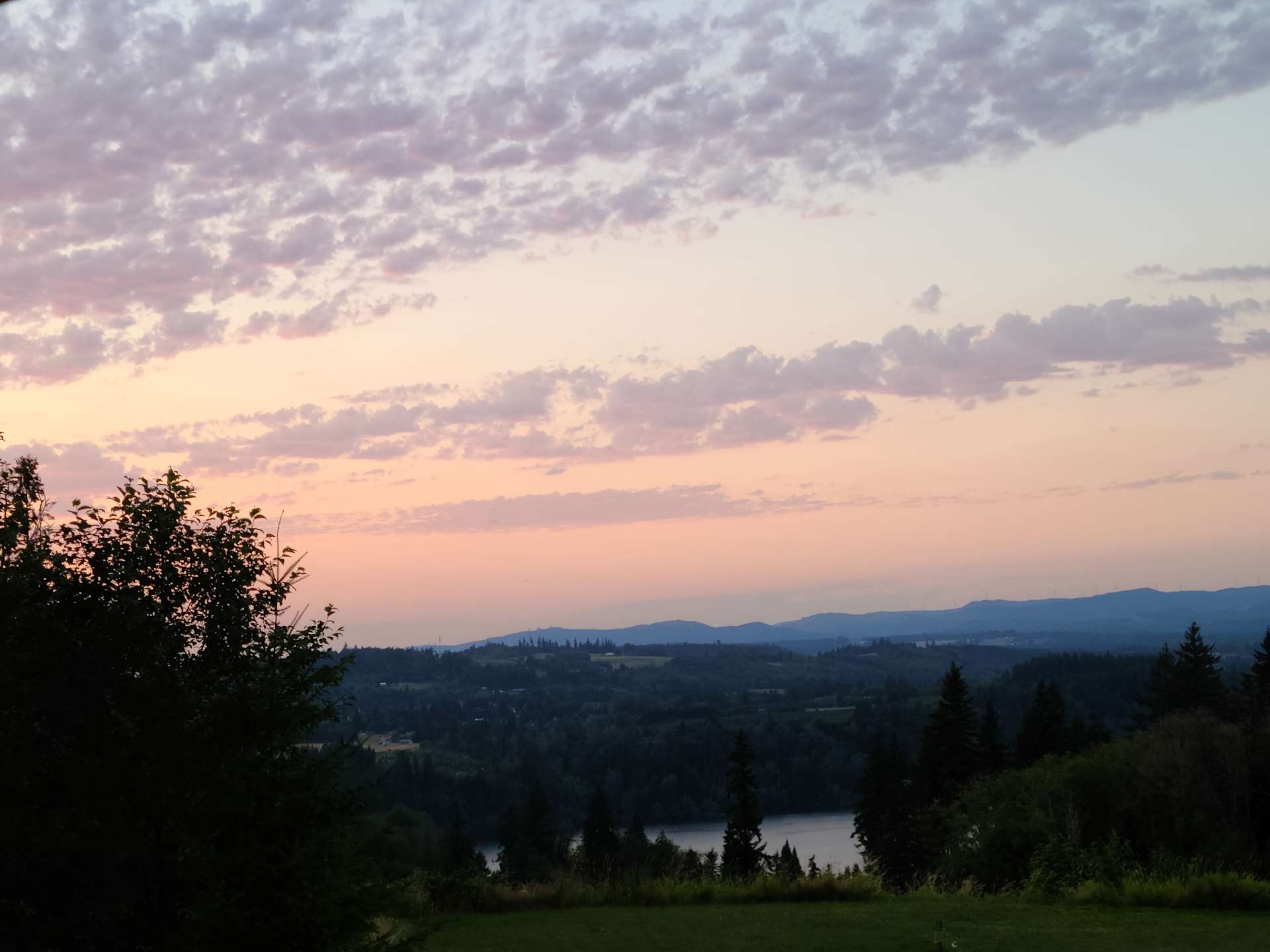 Vista Bella Camp Hipcamp in Mossyrock, Washington