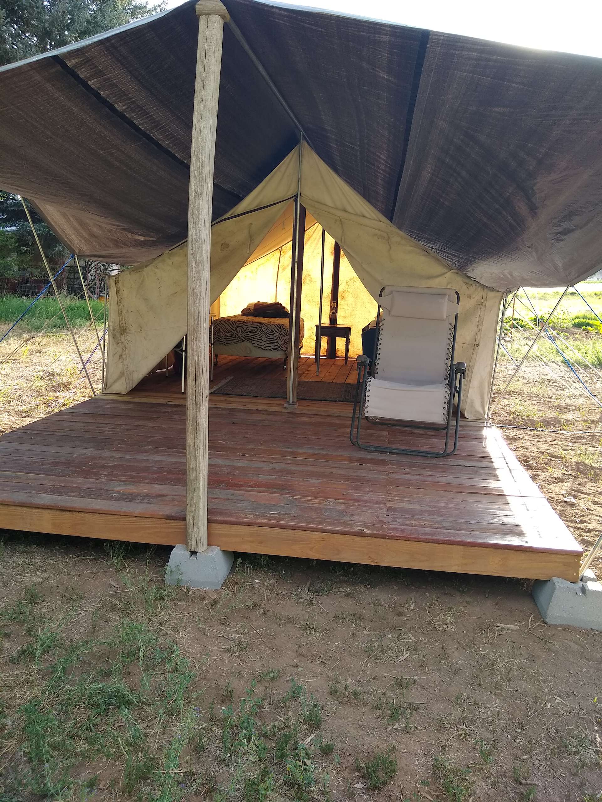 JuNo Farms Glamping Hipcamp in Hotchkiss, Colorado