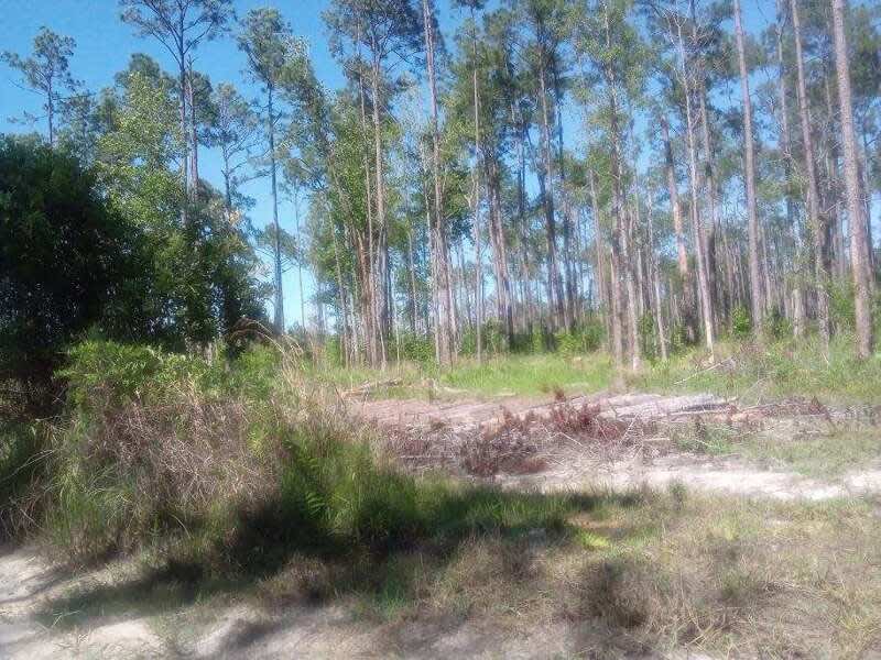 First Phoenix Ranch - Hipcamp in Palatka, Florida