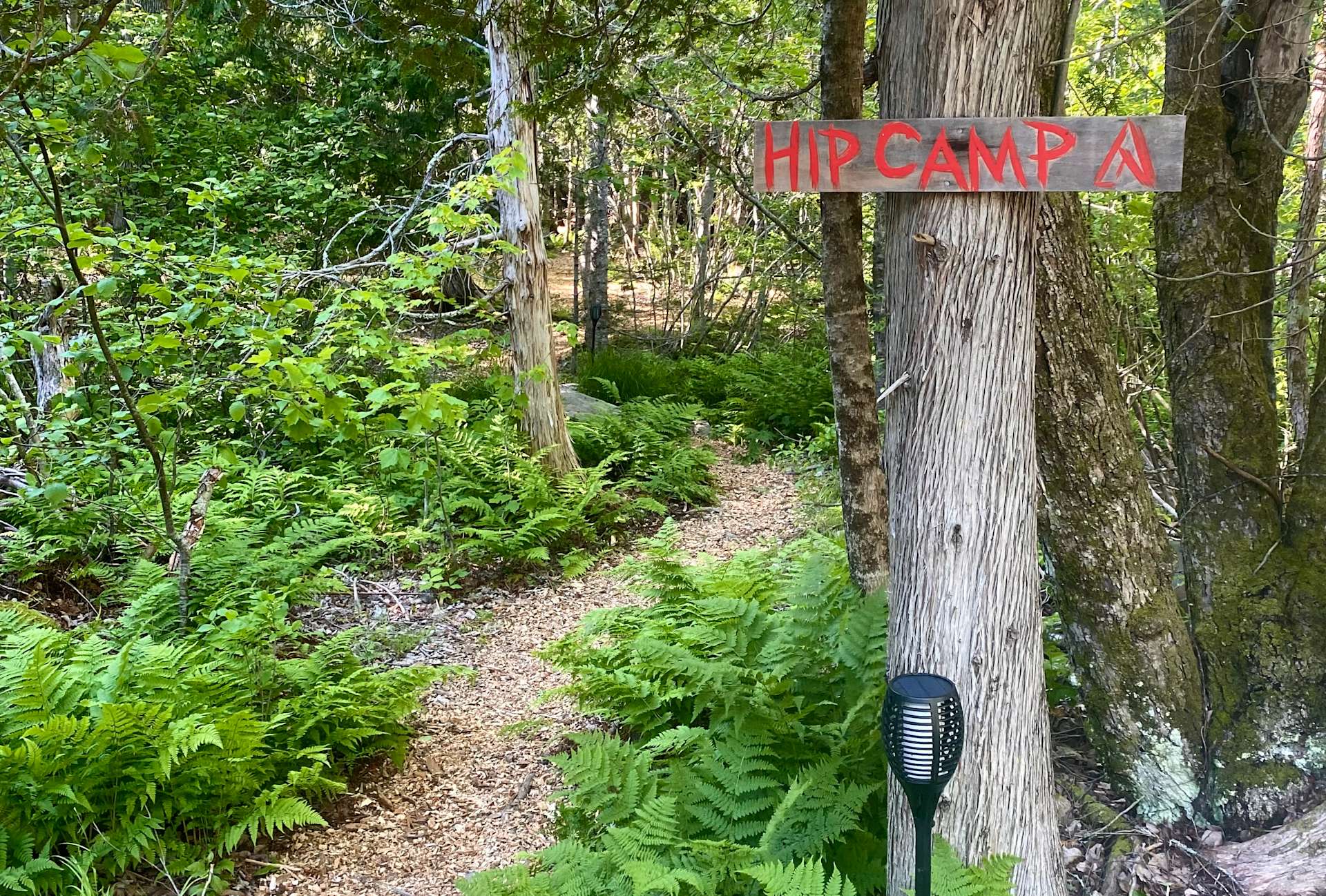 The Howling Woods Hipcamp in Tremont, Maine