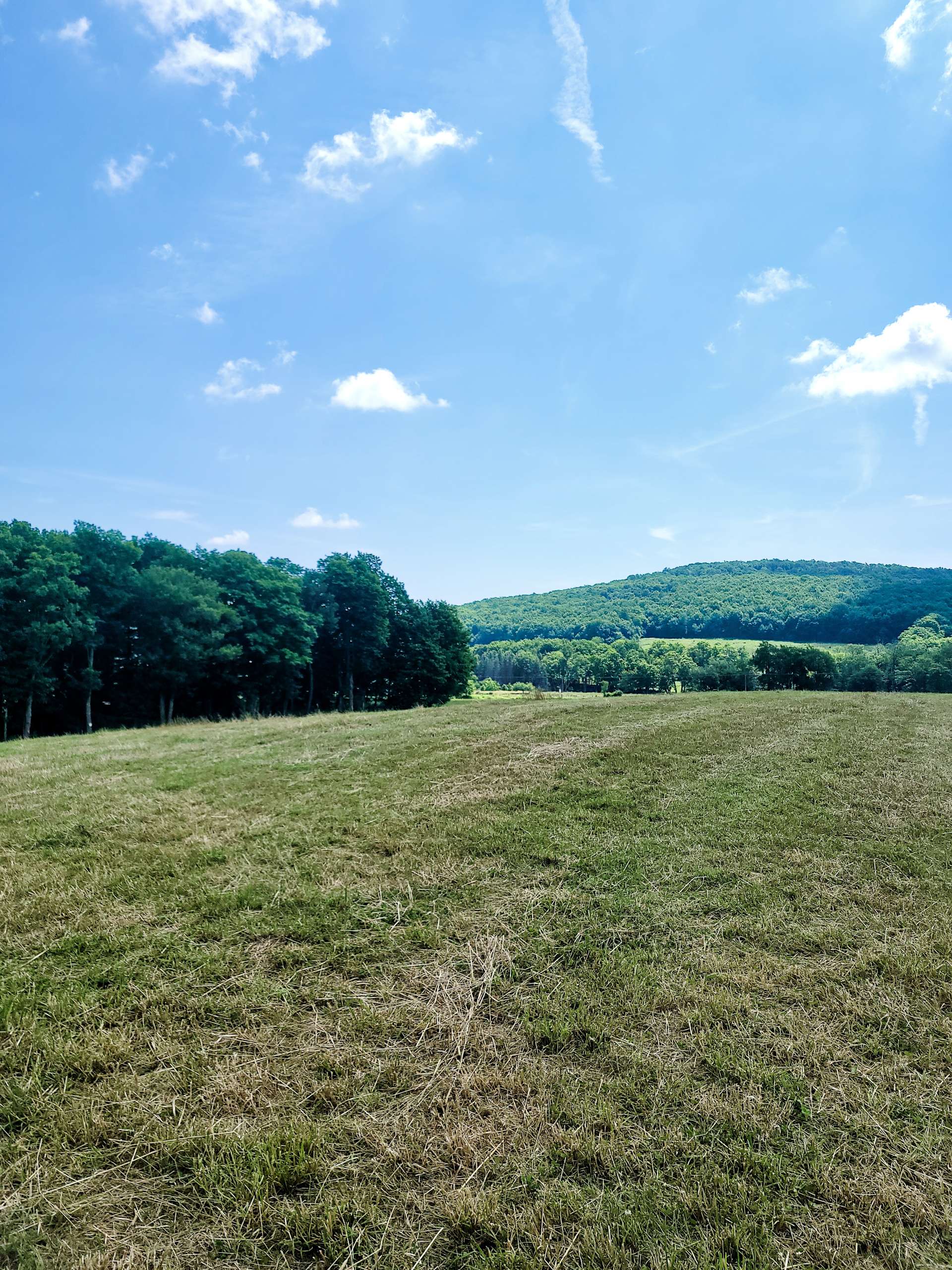 Wrighter Lake Farms Hipcamp in Thompson, Pennsylvania