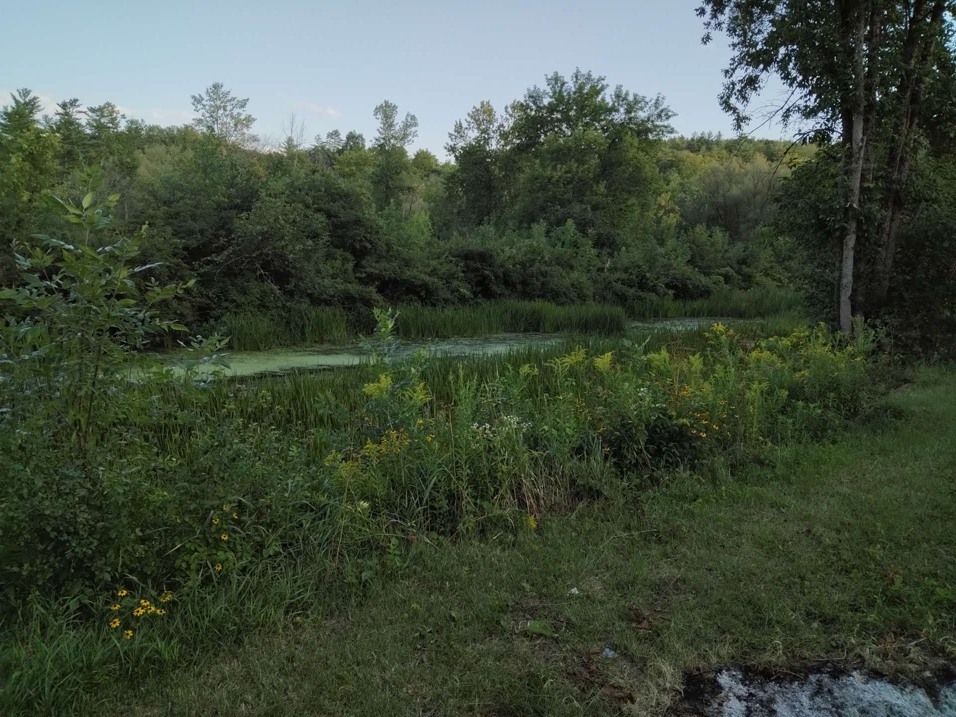 Adirondack Camping Adventure Hipcamp in Fort Ann, New York