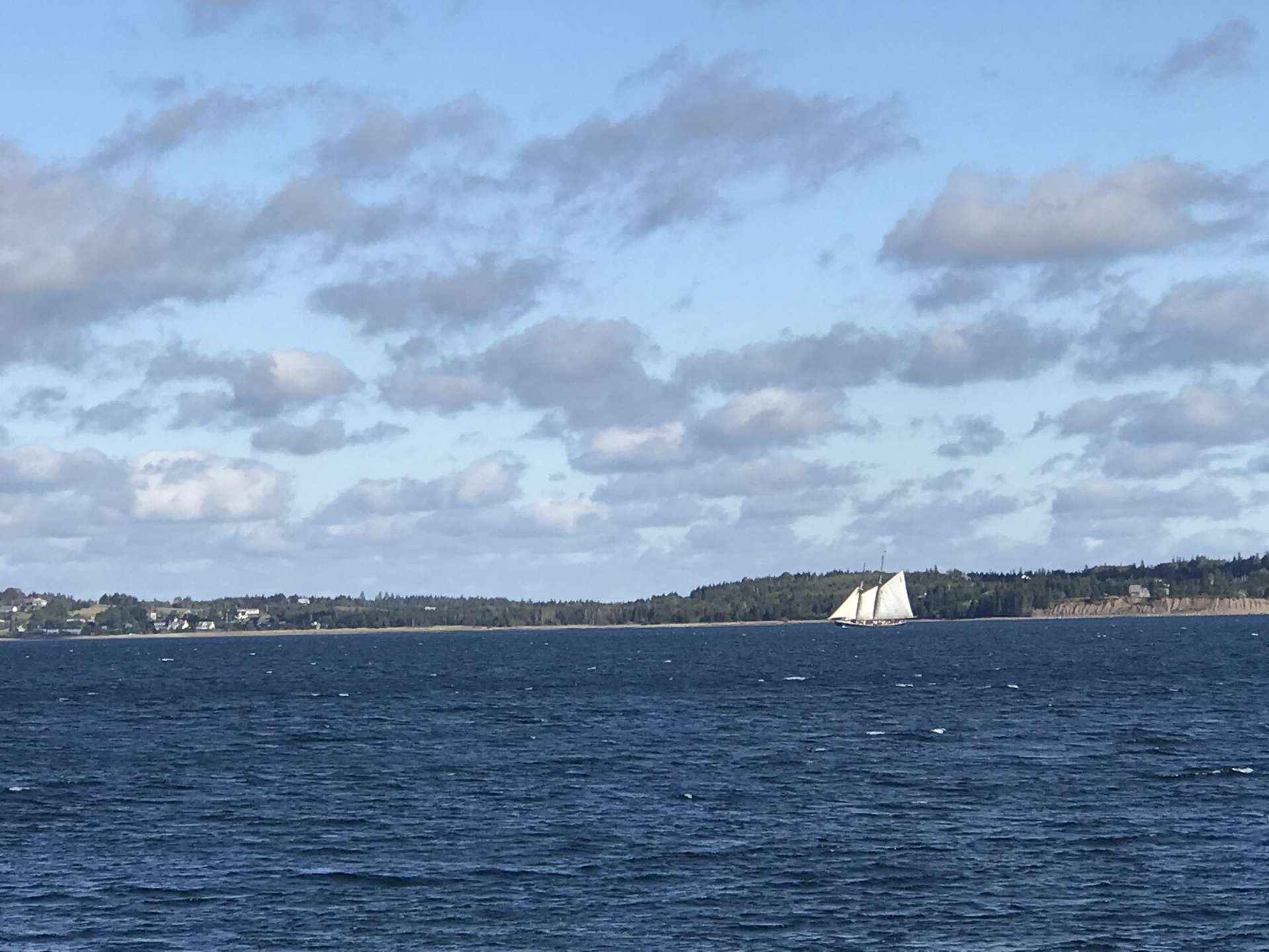 Lunenburg View - Hipcamp in Feltzen South, Nova Scotia