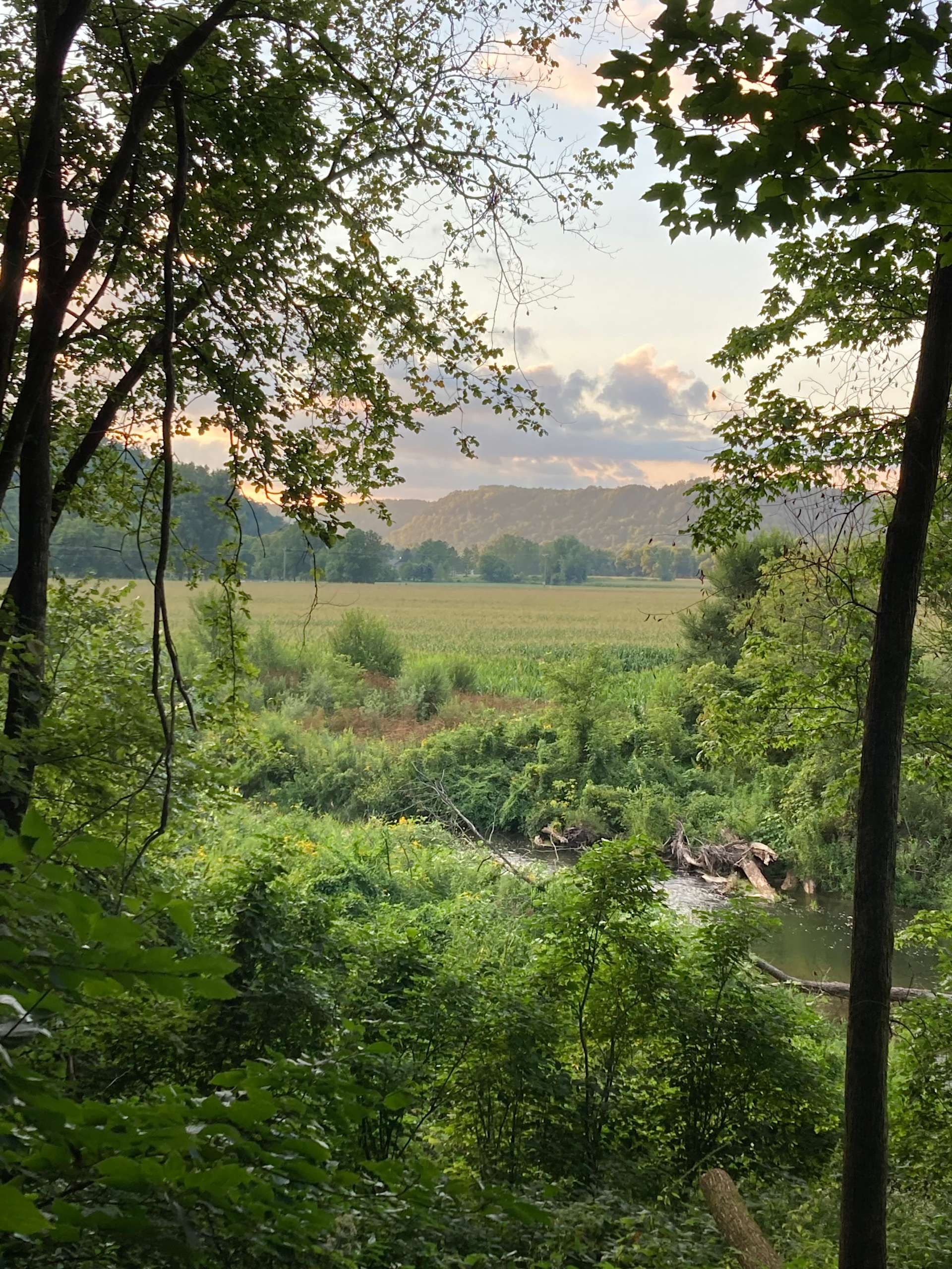 Belle Creek Bluff Hipcamp in Welch, Minnesota