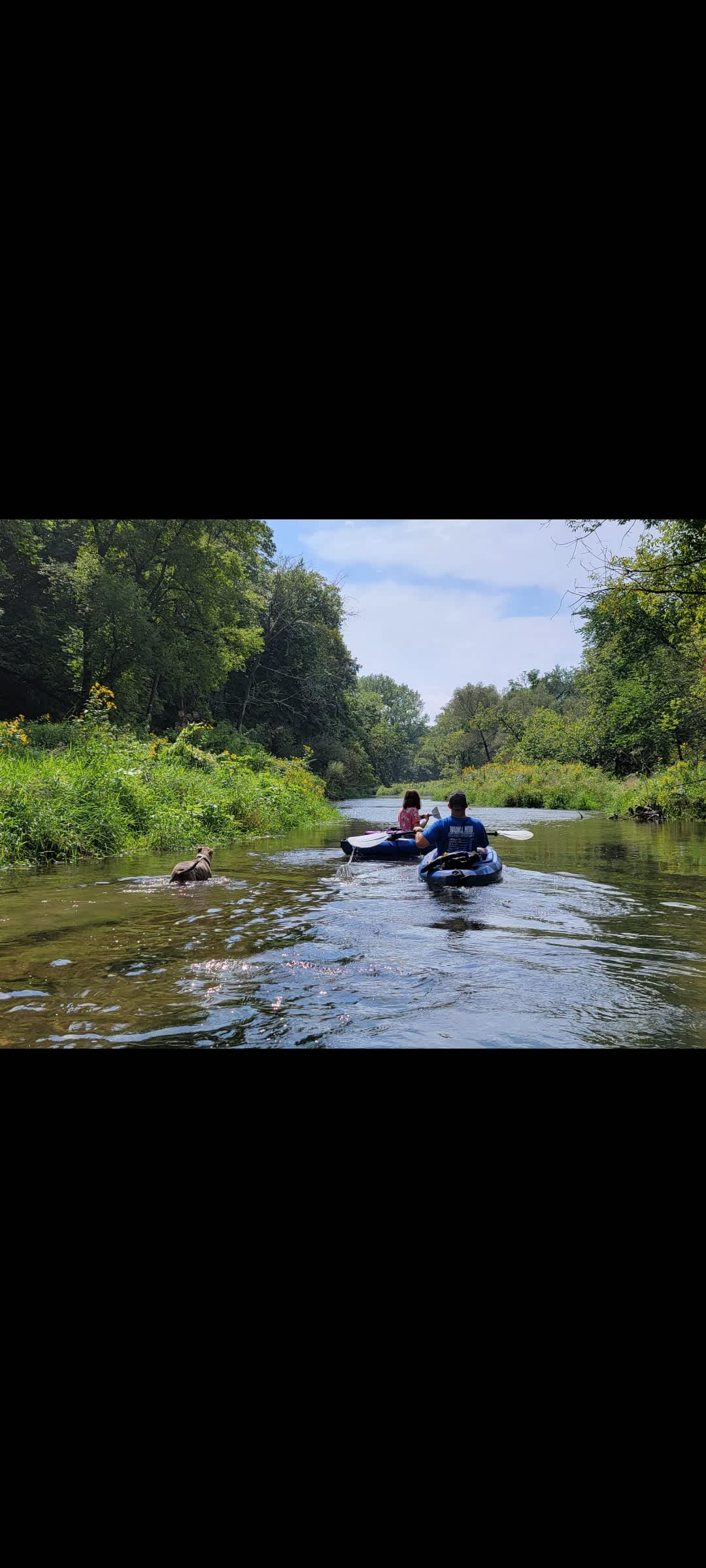 Belle Creek Bluff Hipcamp in Welch, Minnesota