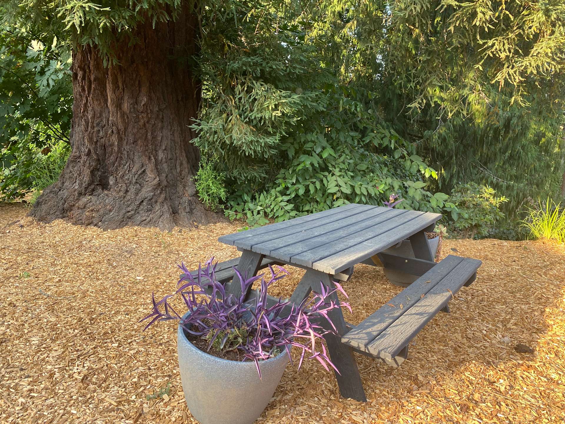 Oxbow Haven Hipcamp in Gresham, Oregon