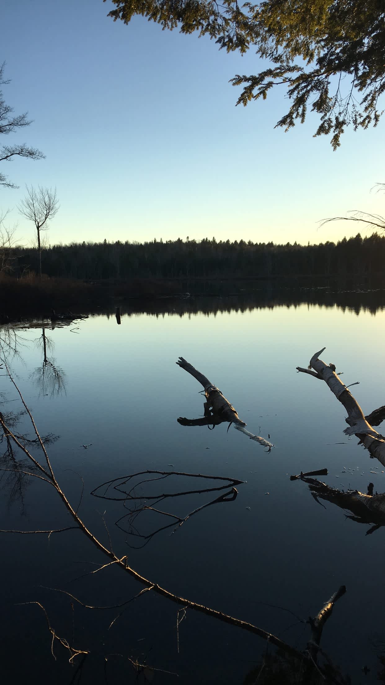 Drake Pond Retreat Hipcamp in Unity, Maine