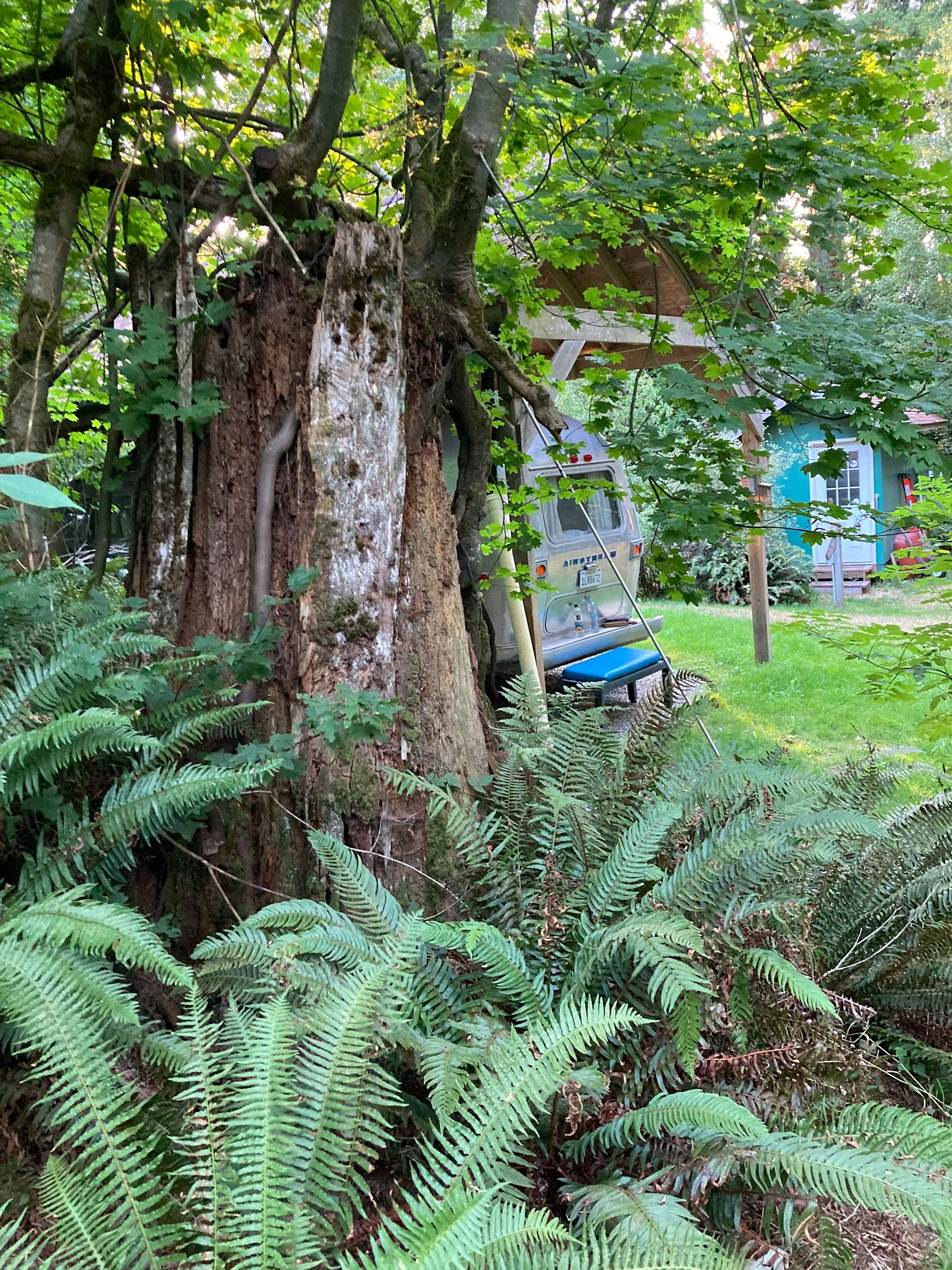 hippies hipcamp Hipcamp in Quilcene, Washington