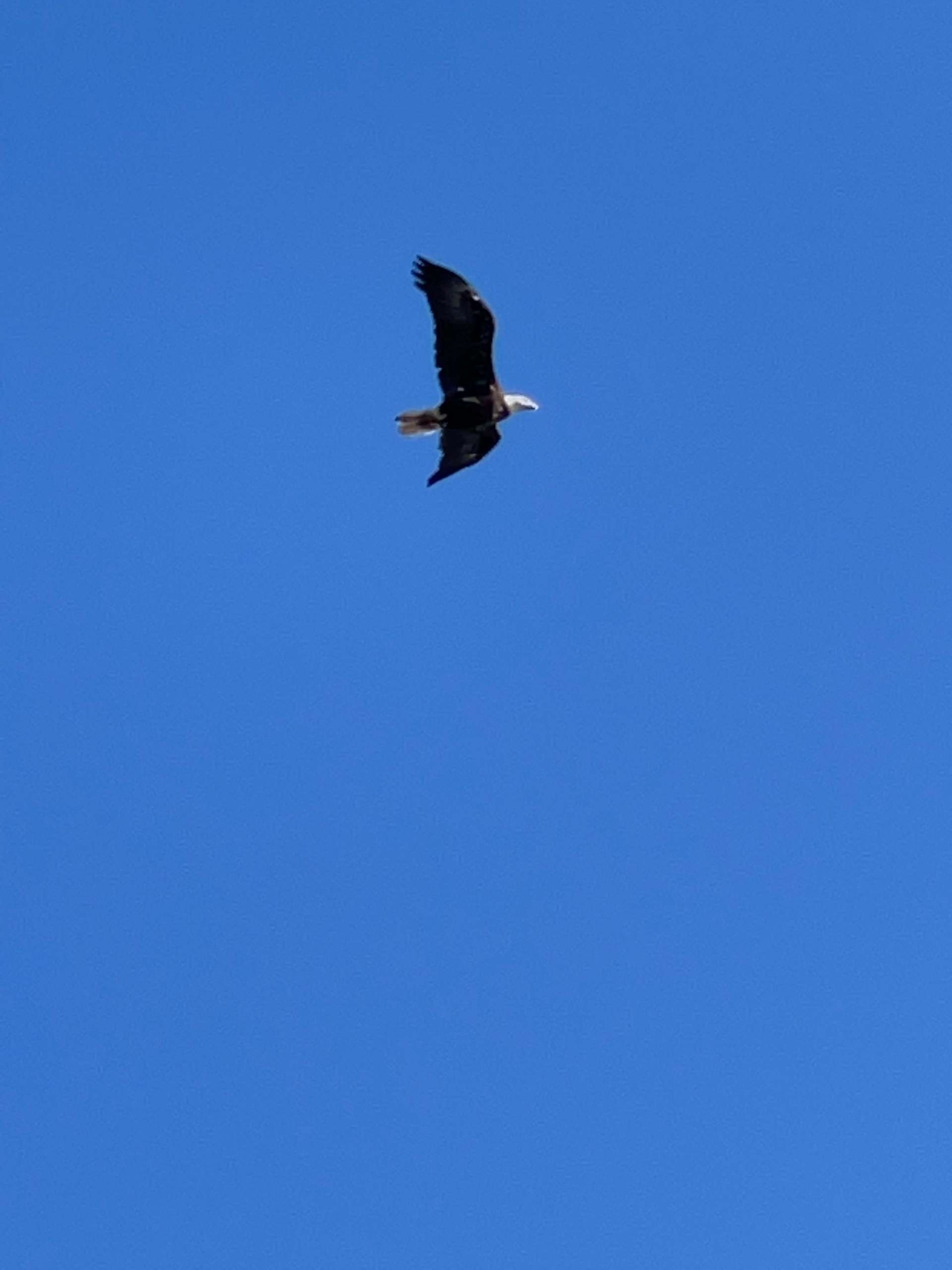 Camp Nosredep Hipcamp in Carthage, New York