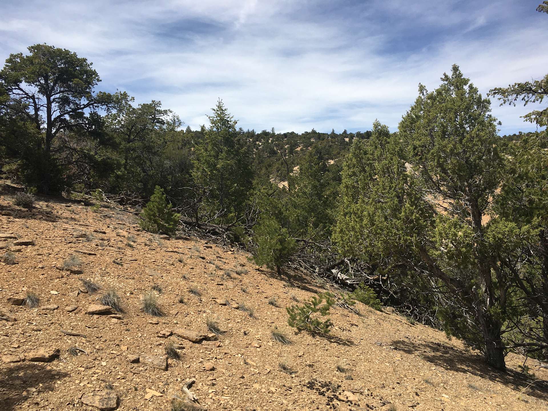 Duchesne County Lookout Earth Camp Hipcamp in Duchesne, Utah