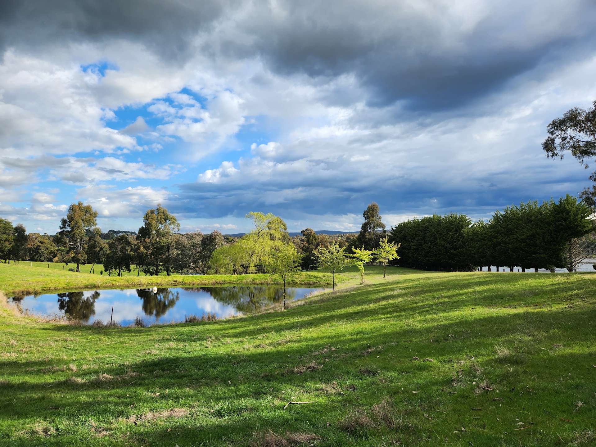 The back paddock at 5 Acre Farm Hipcamp in Taradale, Victoria