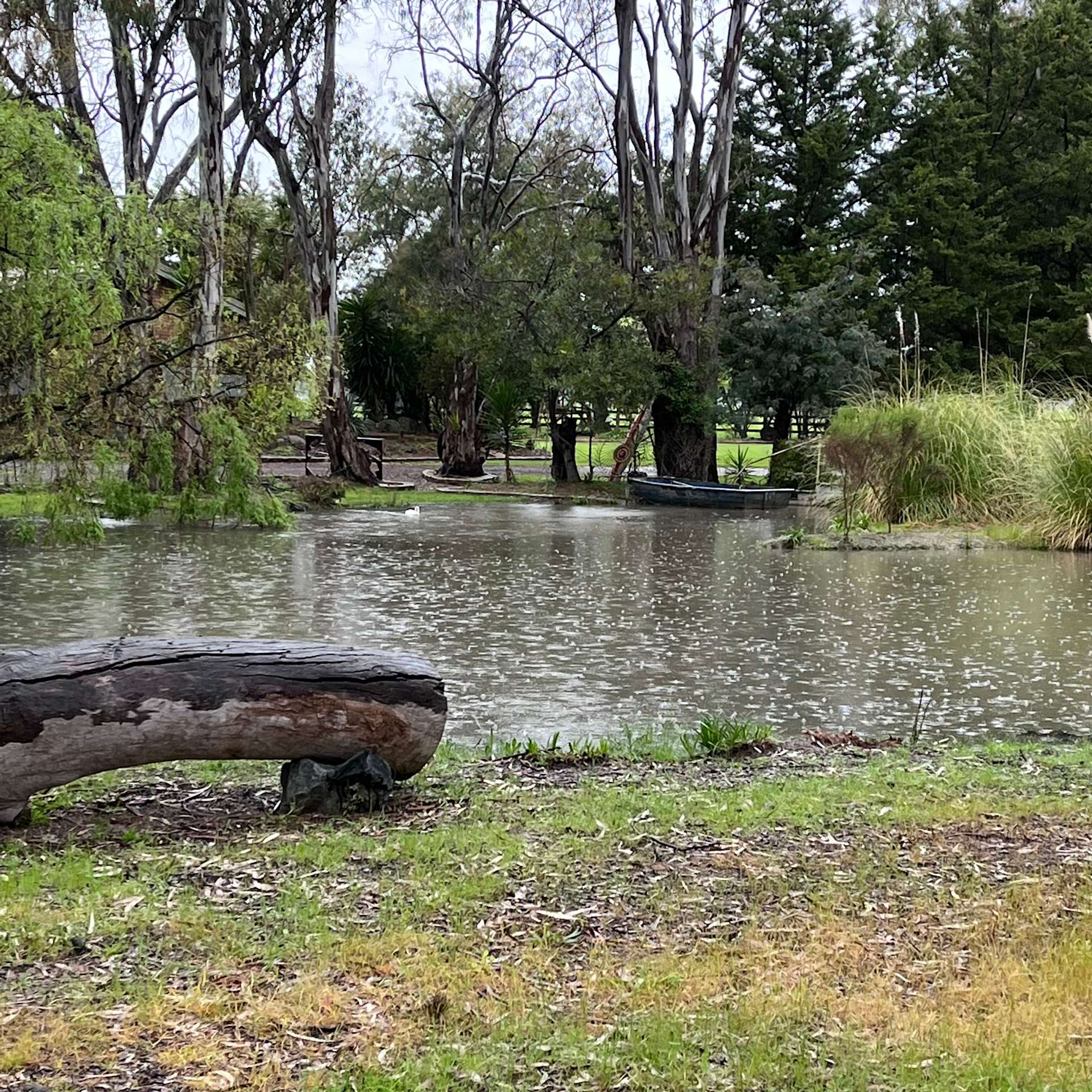 Asheden Hipcamp in Kialla East, Victoria