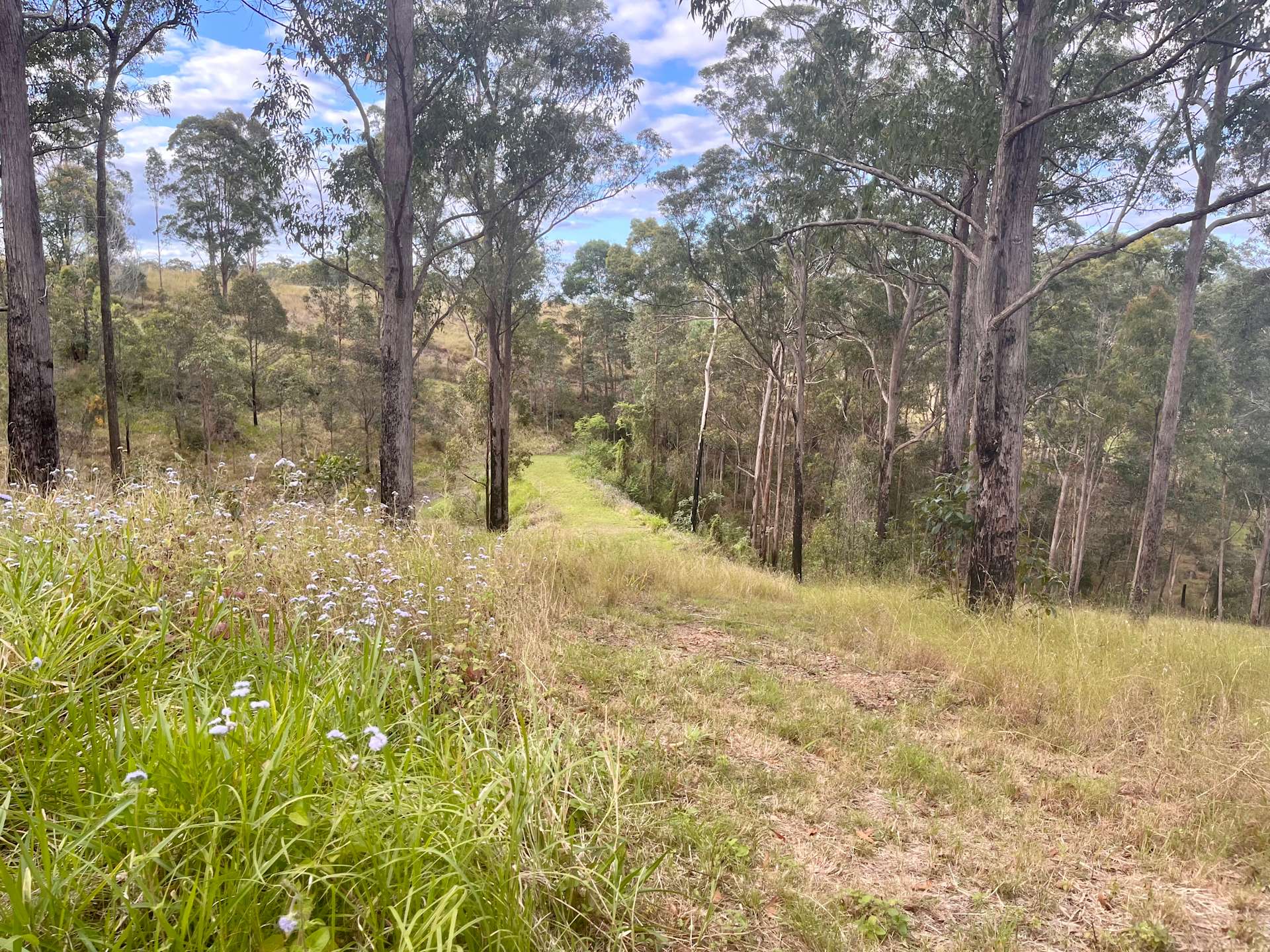 Wild Acres Hipcamp in Bollier, Queensland