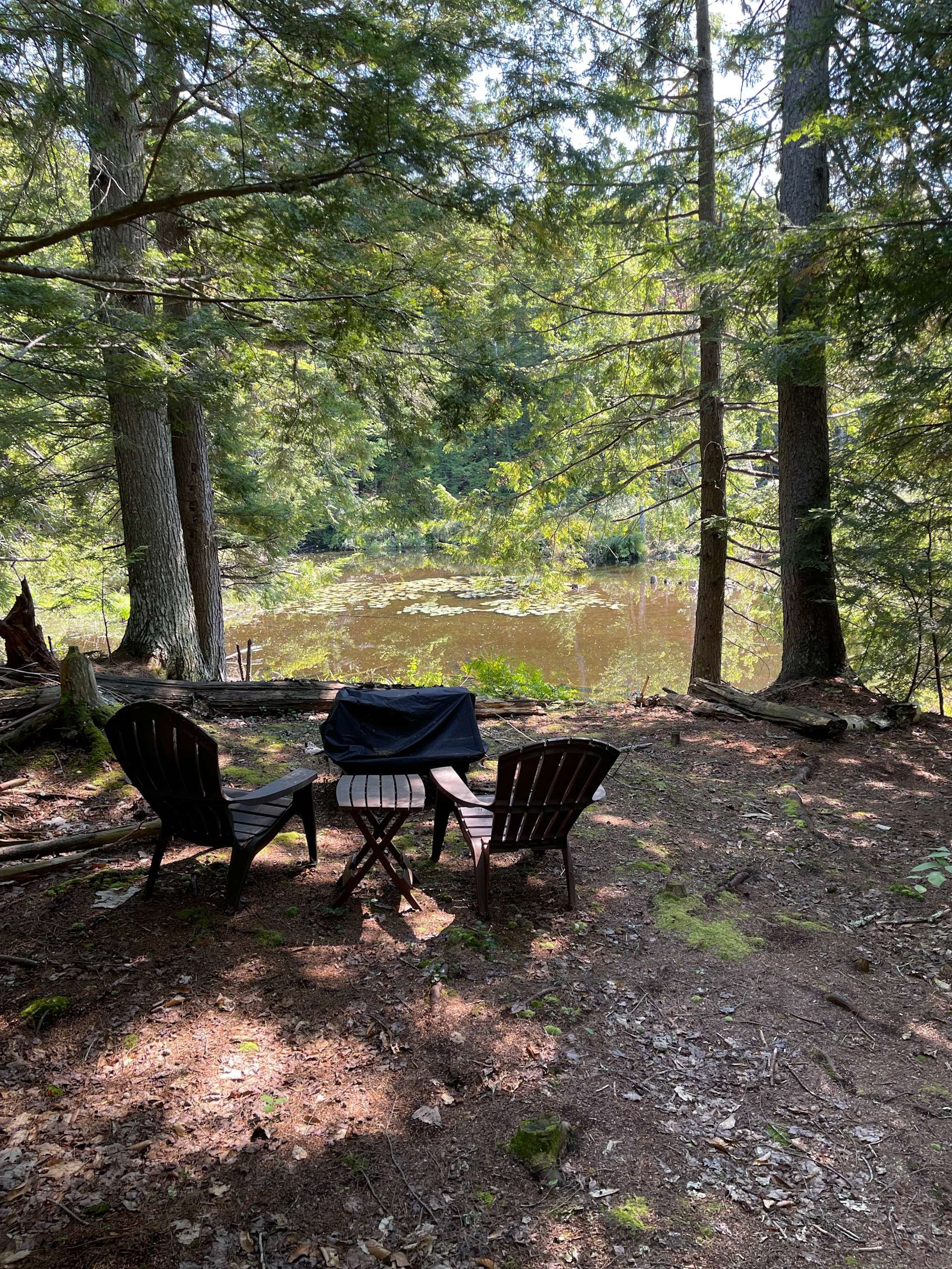 Drake Pond Retreat Hipcamp in Unity, Maine