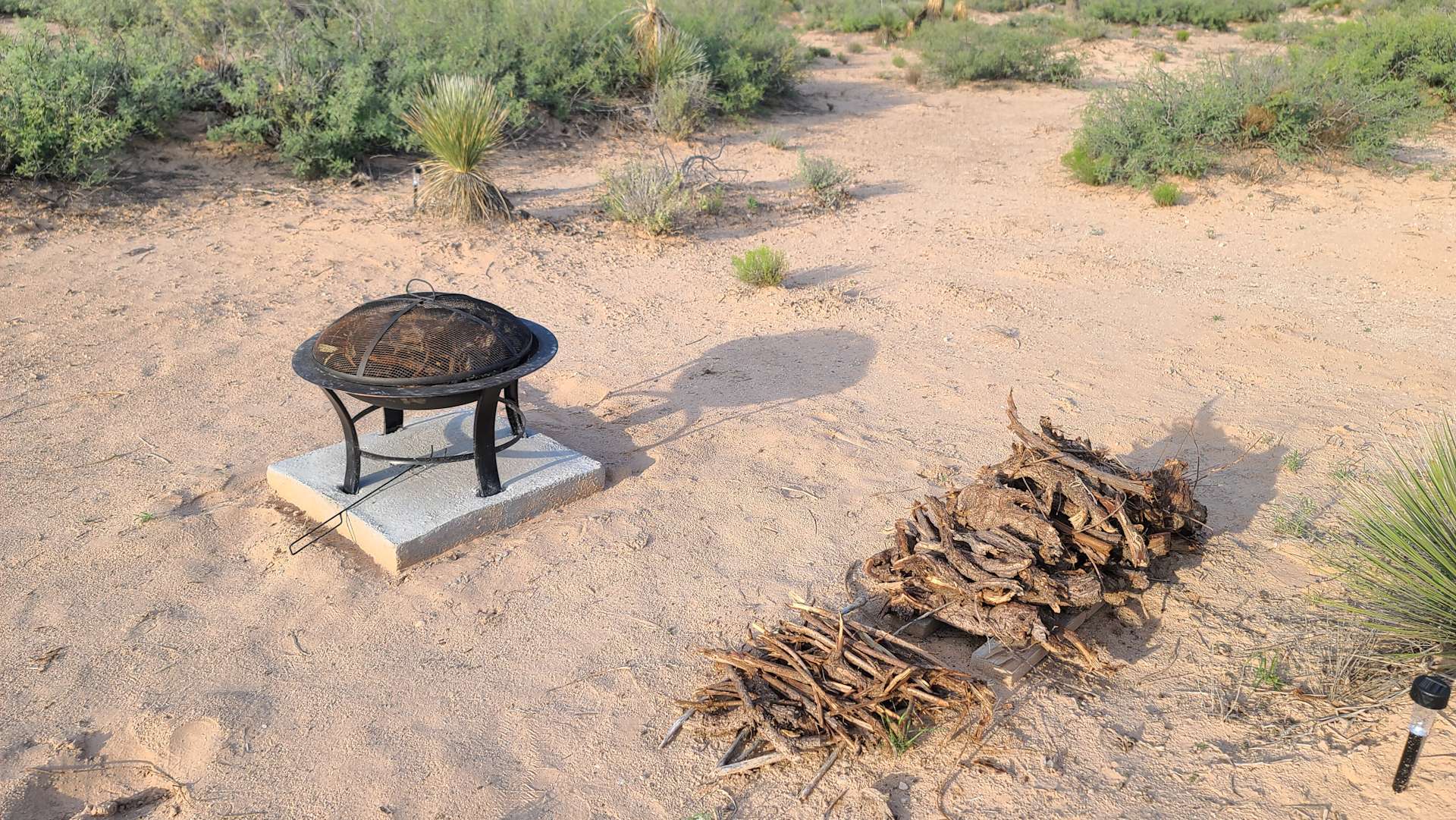 More Travel Less Talk Hipcamp in Dell City, Texas