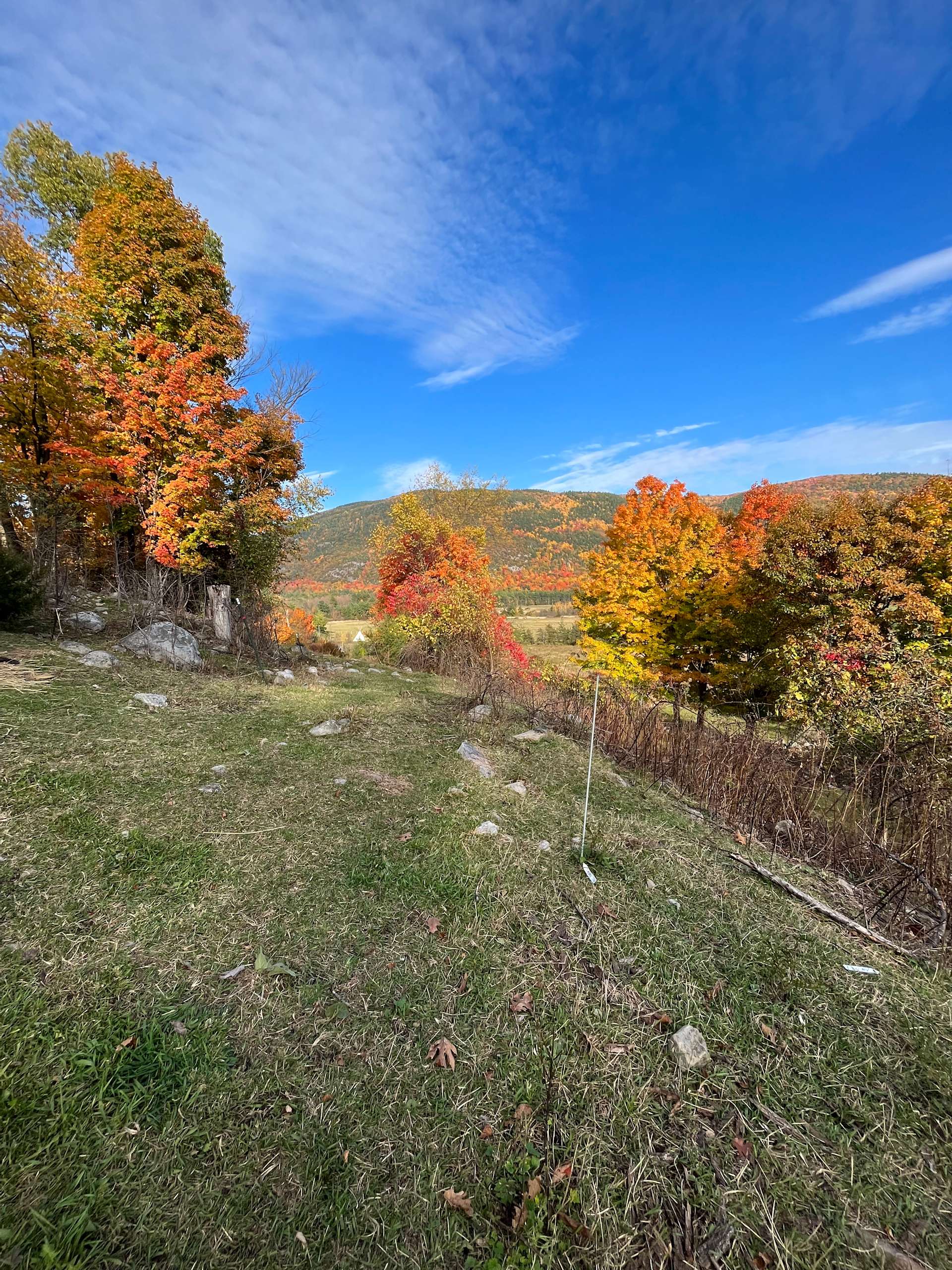 farm-animal-sanctuary-retreat-hipcamp-in-middlebury-vermont