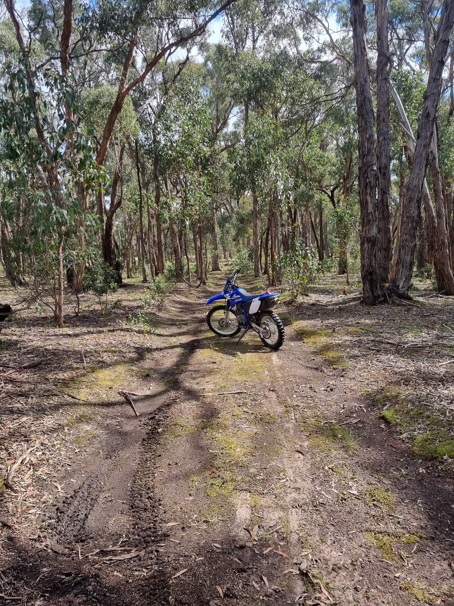 The Gums Bush Block Hipcamp in Ballarat, Victoria
