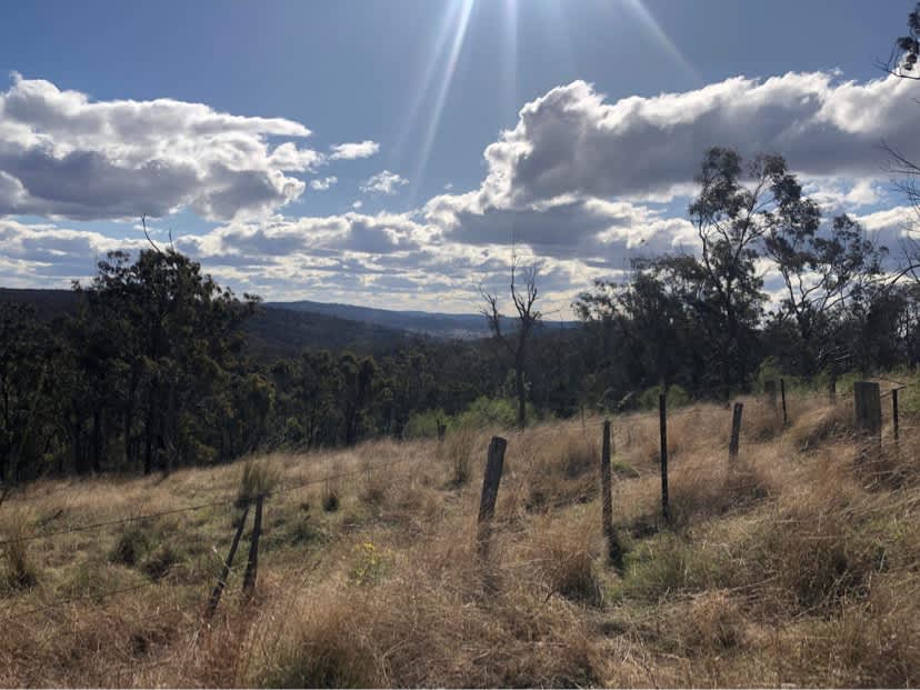 Up & Away Braeside Hipcamp in Dalveen, Queensland