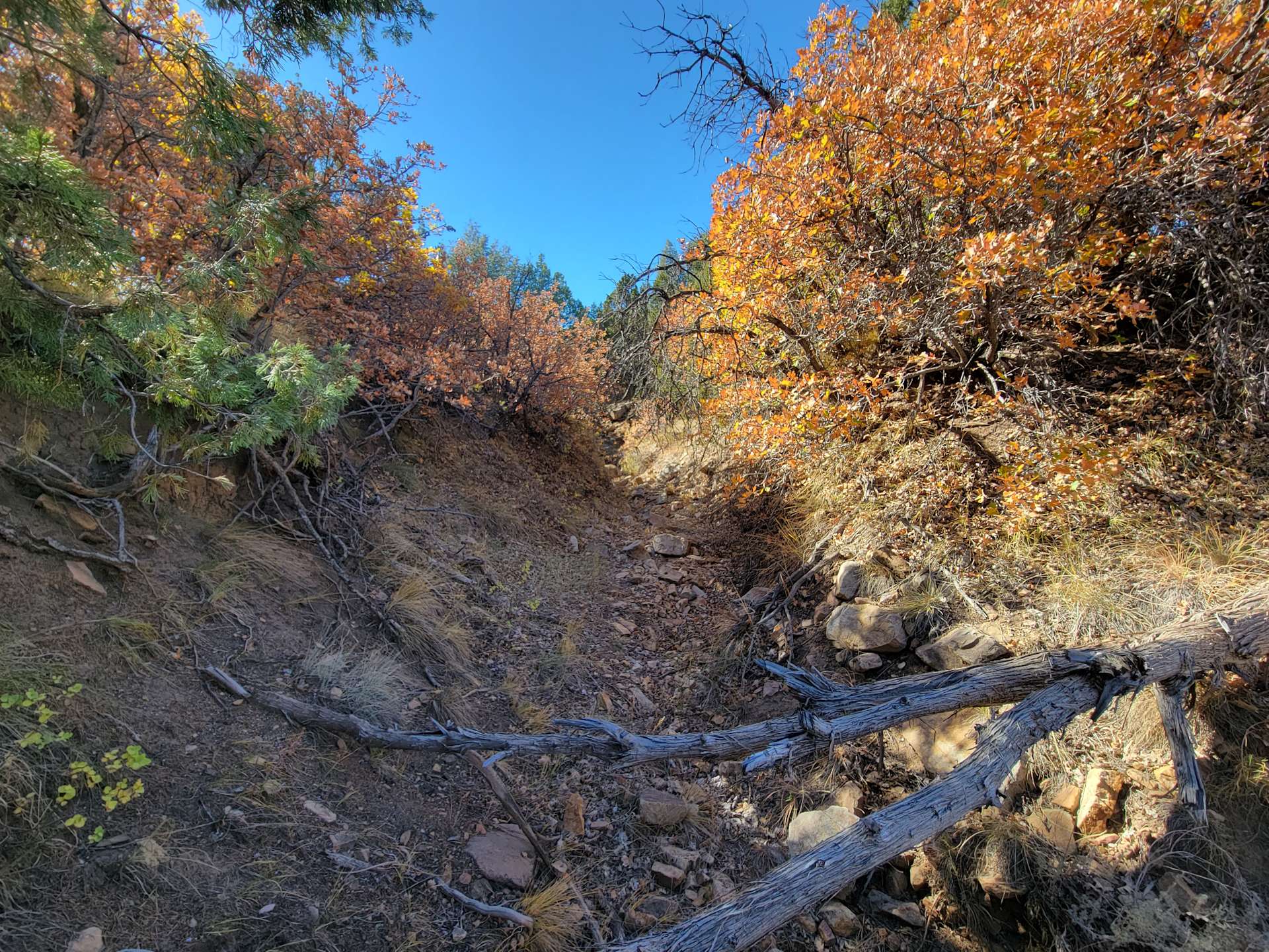 Wet mountain Getaway Hipcamp in Beulah, Colorado