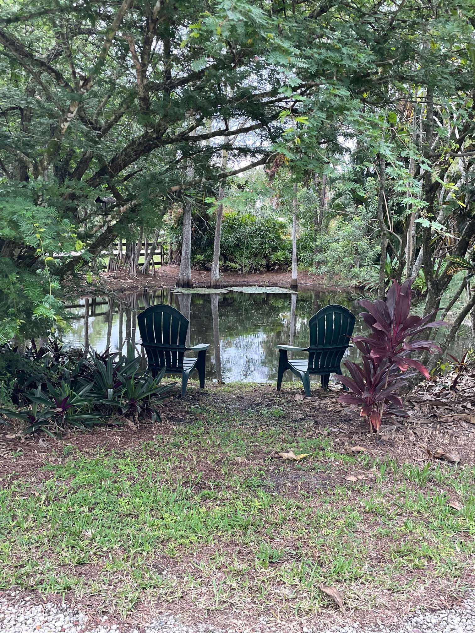 Flying Frog Ranch - Hipcamp in West Palm Beach, Florida