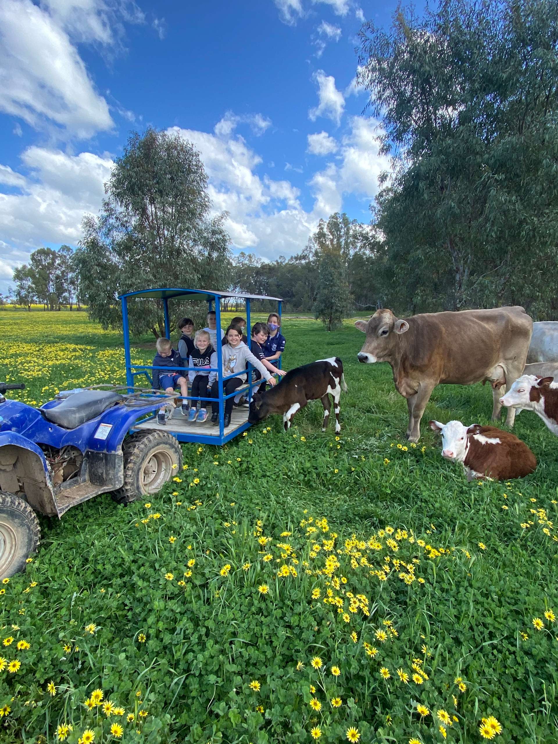 Tree Tops Ranch Hipcamp in Bundalong, Victoria
