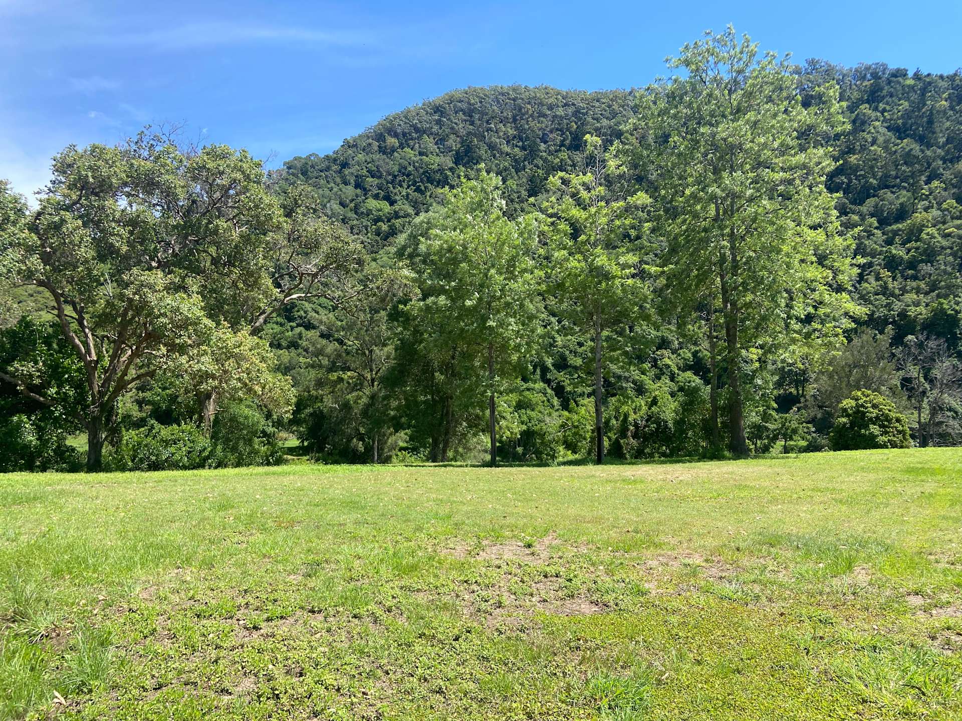 Yabba Creek Farm Hipcamp in Imbil, Queensland