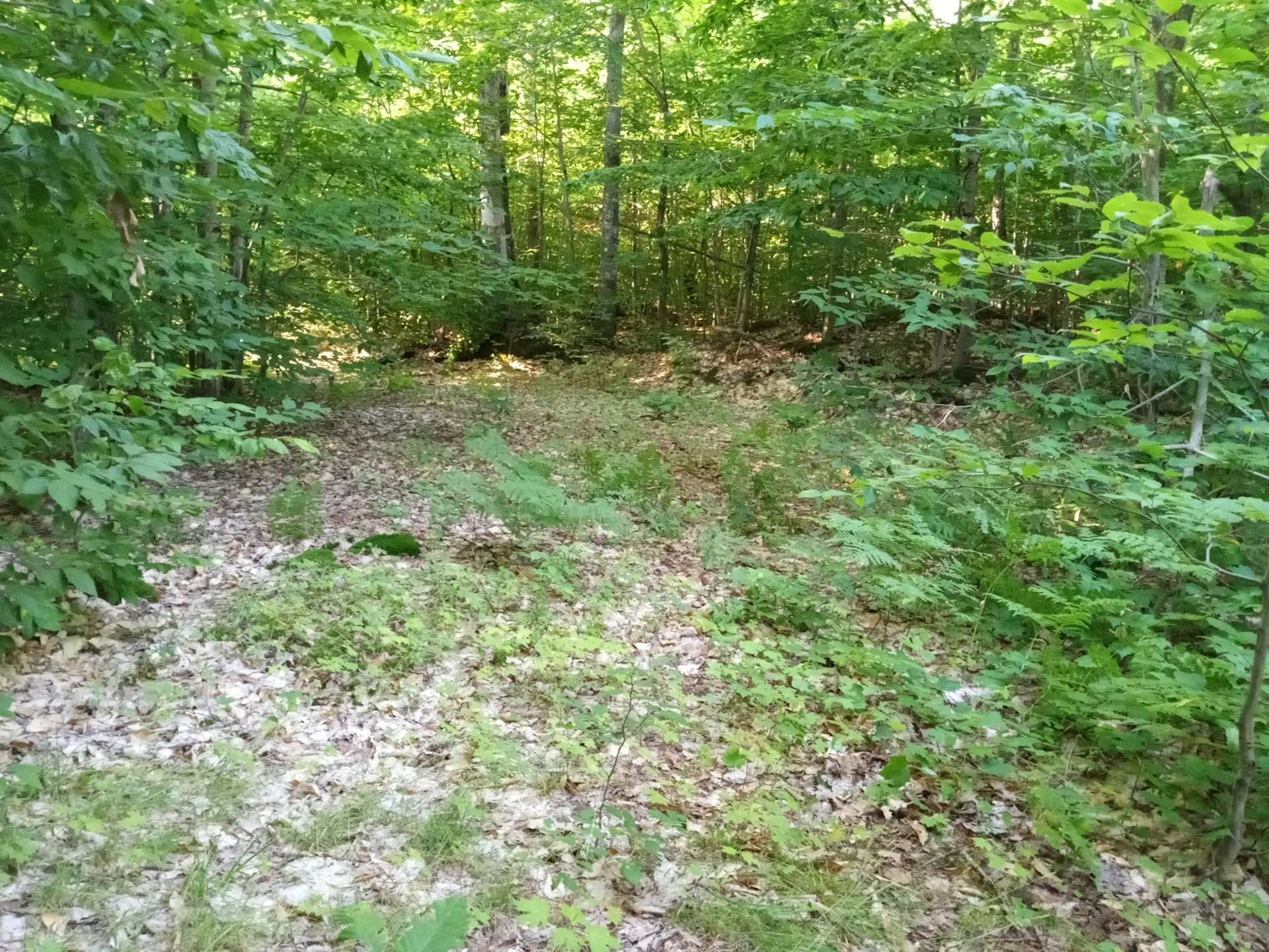 Fordney fire tower - Hipcamp in , Michigan