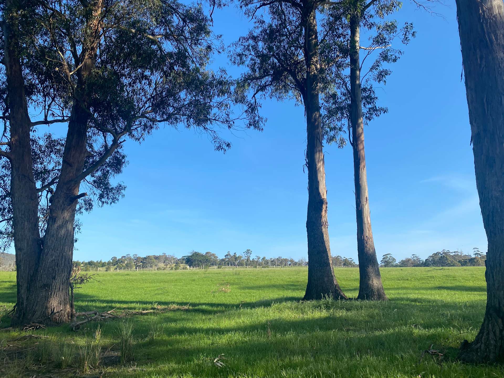 Forcett Inn Hipcamp in , Tasmania