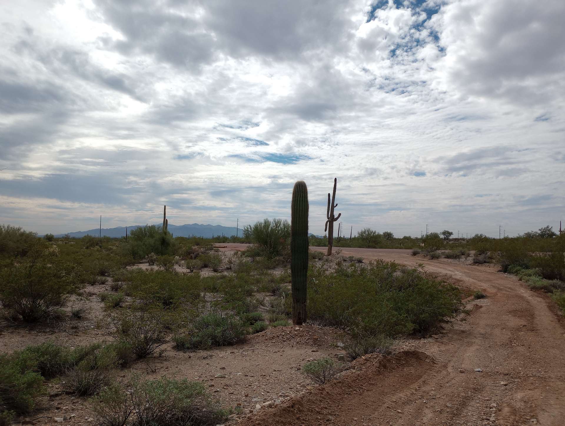 Wild Coyote Ranch - Hipcamp in Wittmann, Arizona