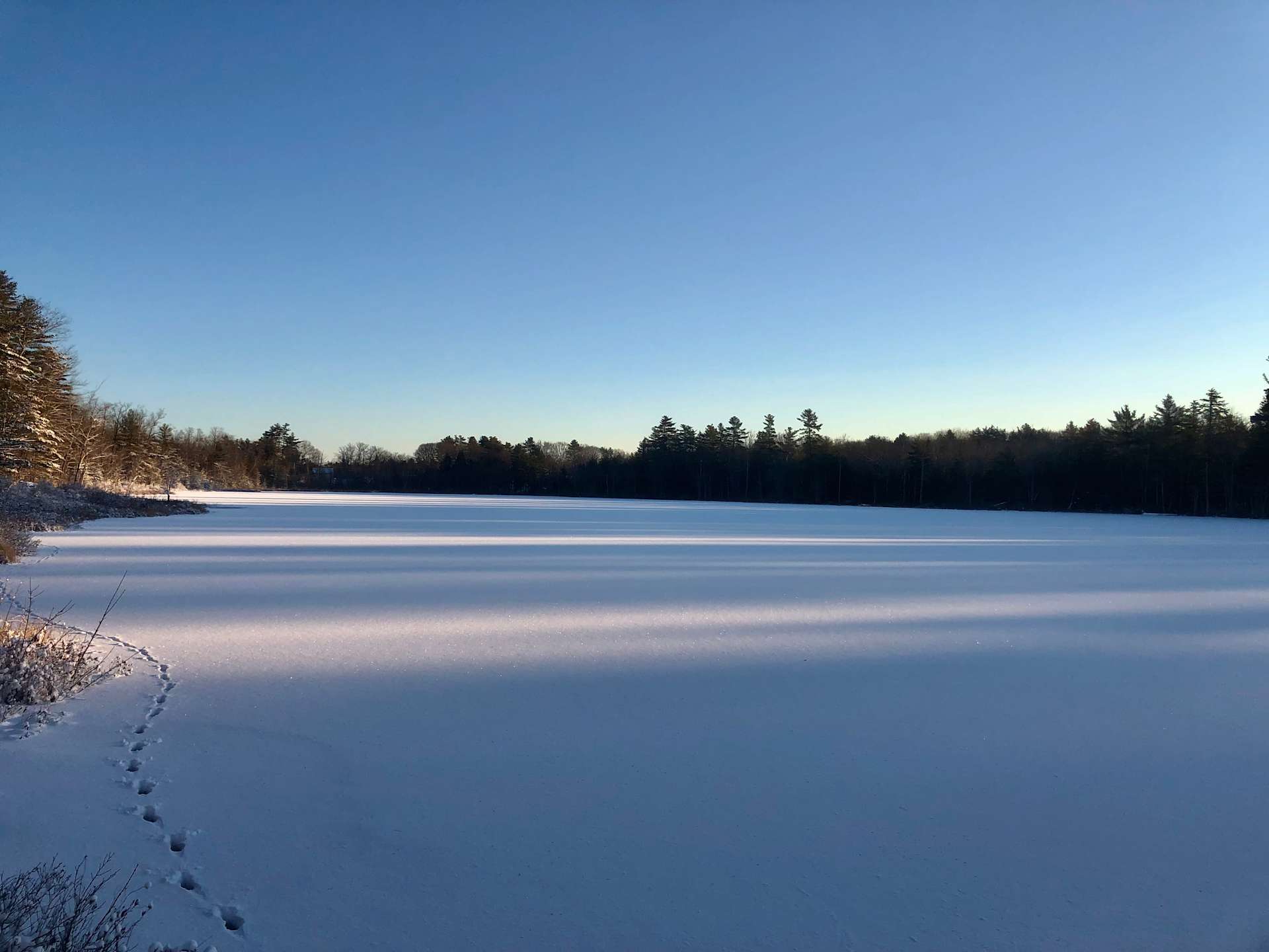 Tiny Cabins of Maine Hipcamp in Whitefield, Maine