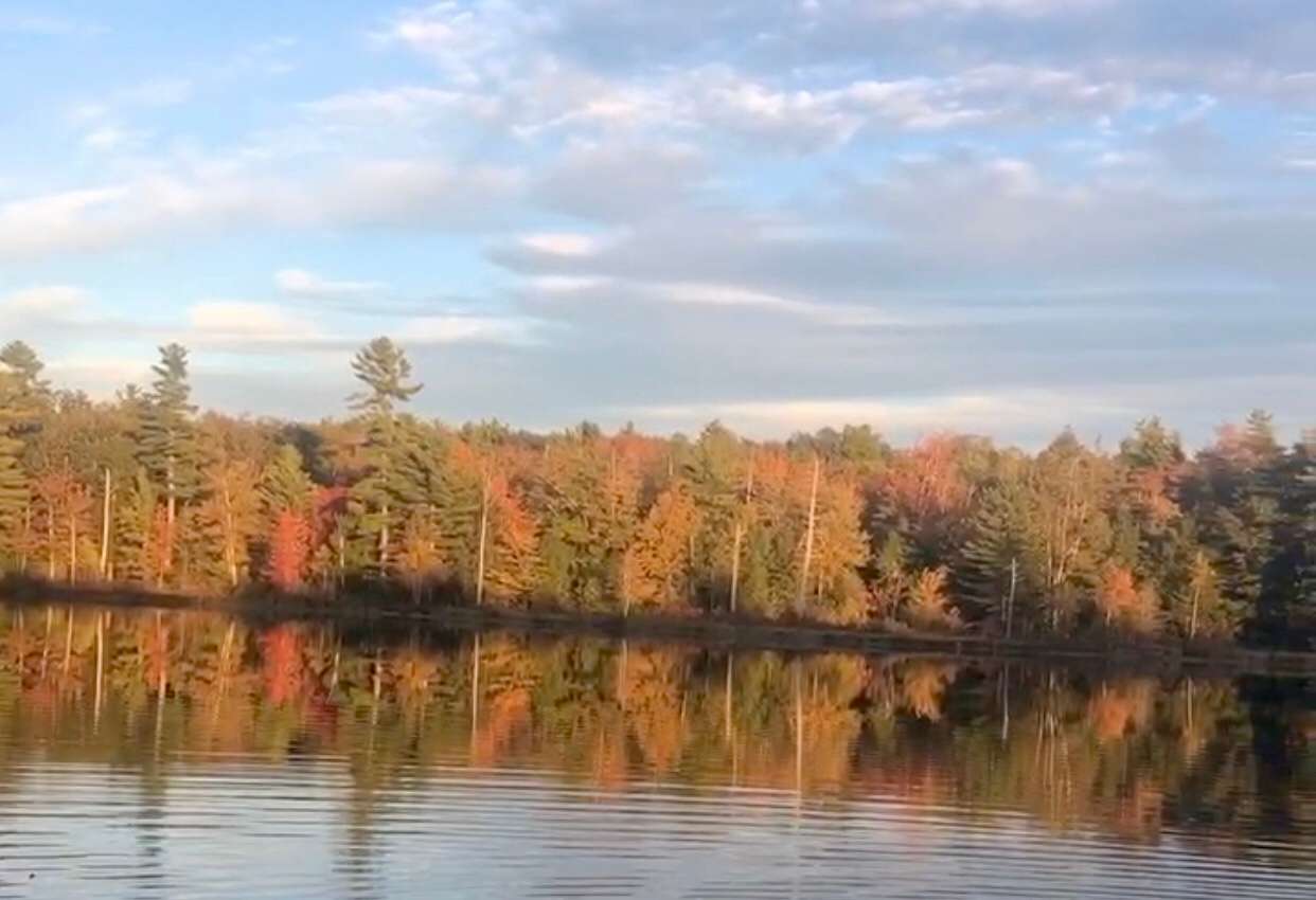 Tiny Cabins of Maine Hipcamp in Whitefield, Maine