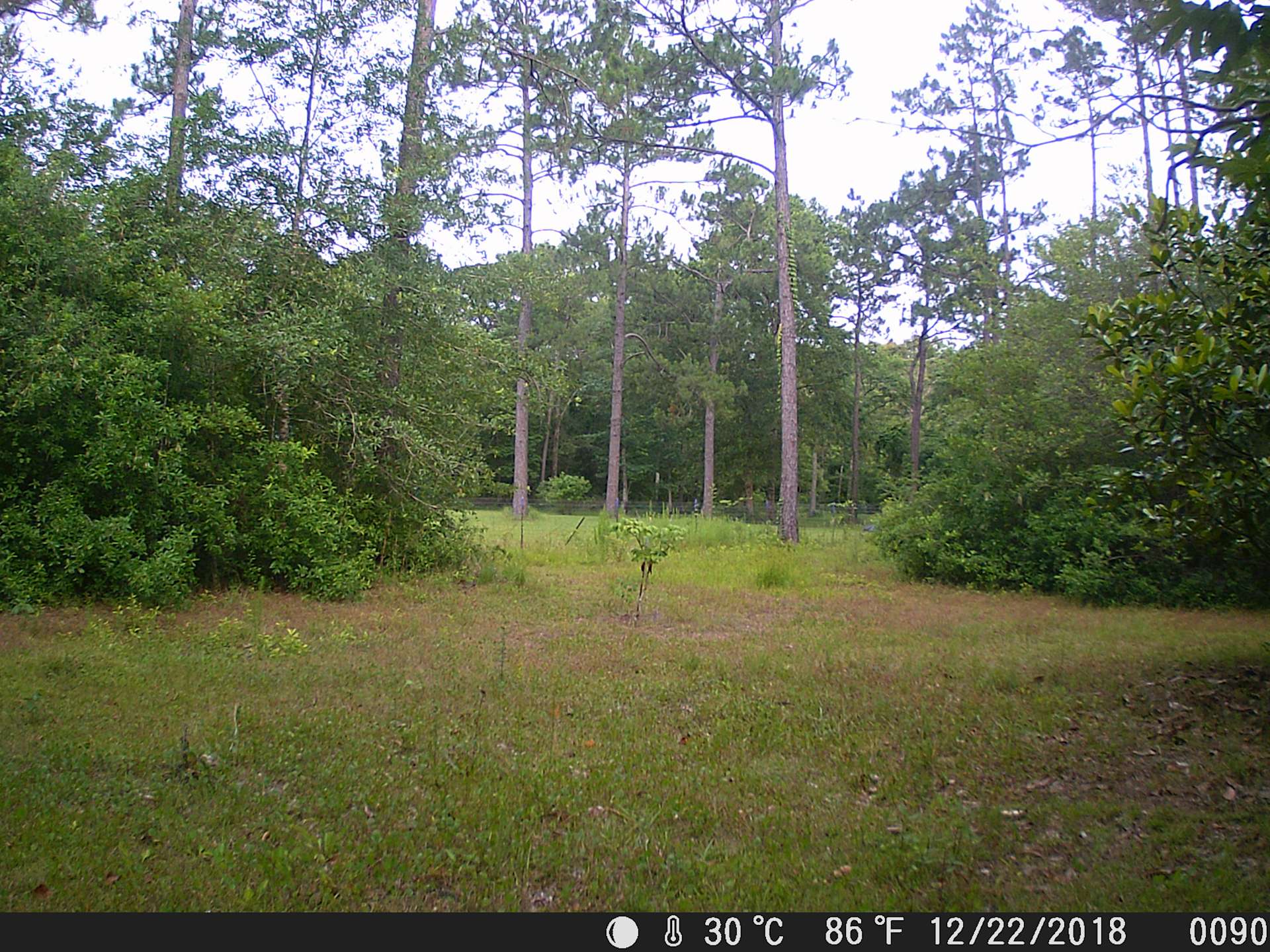 Our Peaceful Place Hipcamp in Kiln, Mississippi
