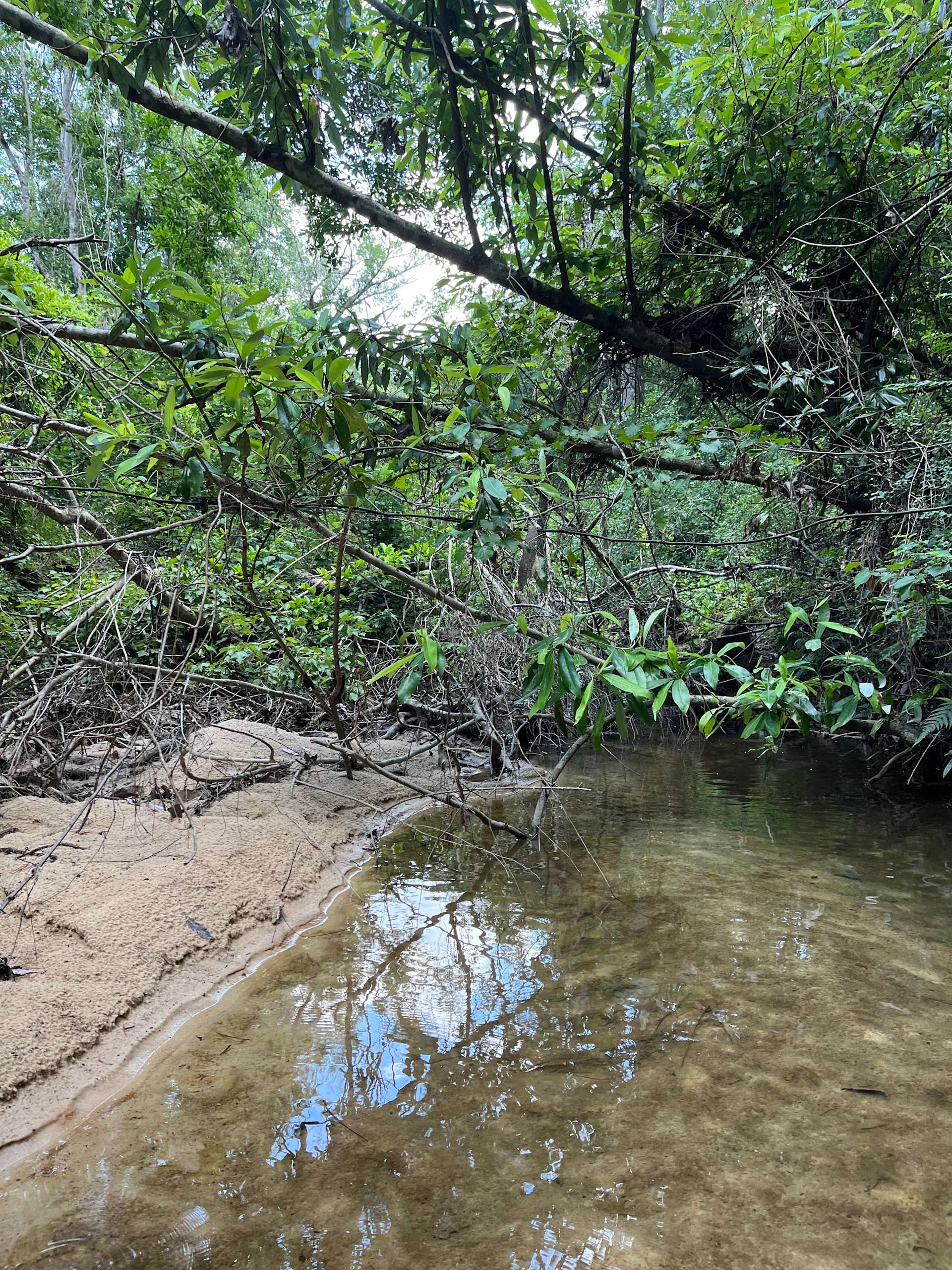 Our Peaceful Place Hipcamp in Kiln, Mississippi