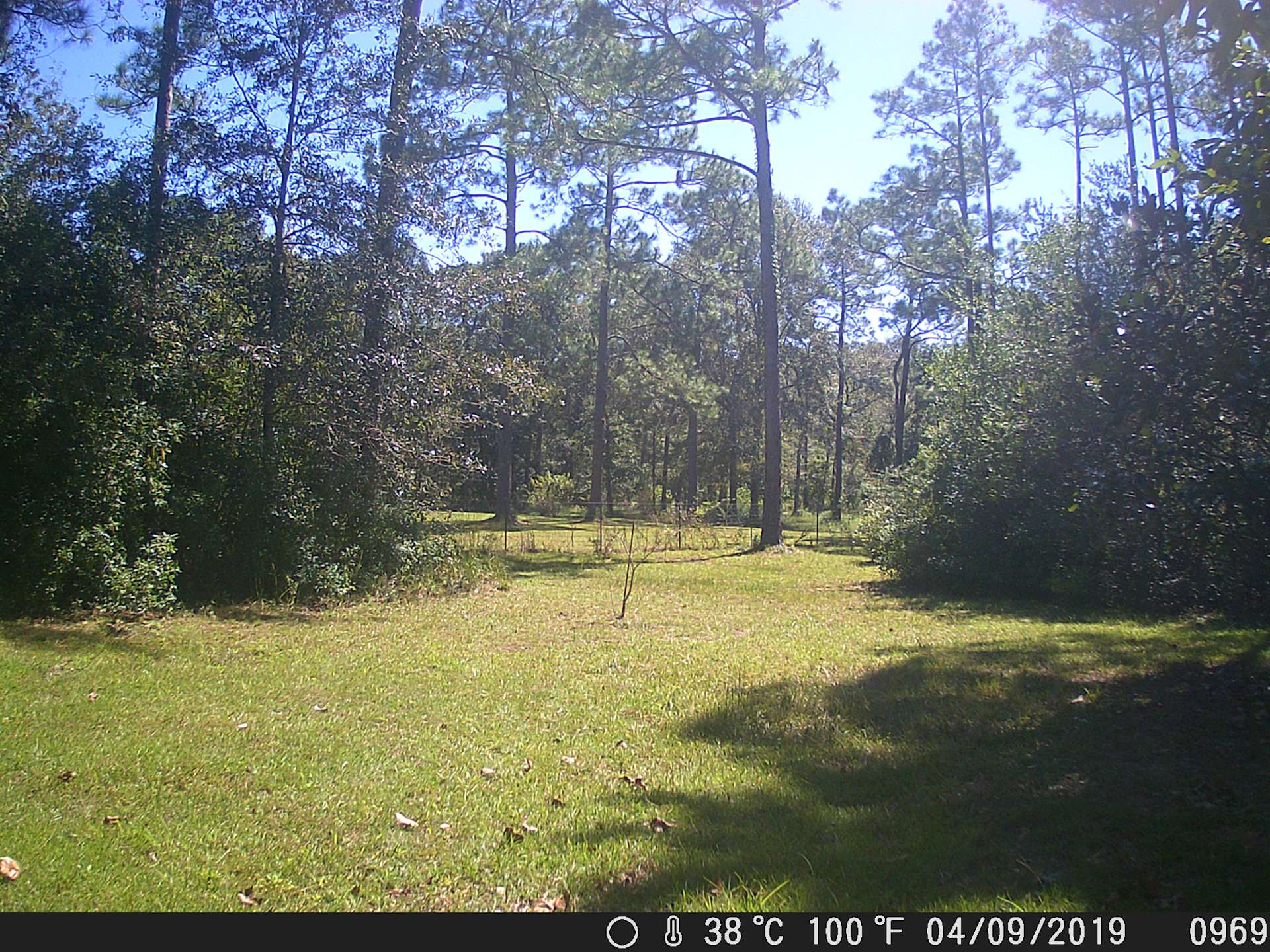 Our Peaceful Place Hipcamp in Kiln, Mississippi