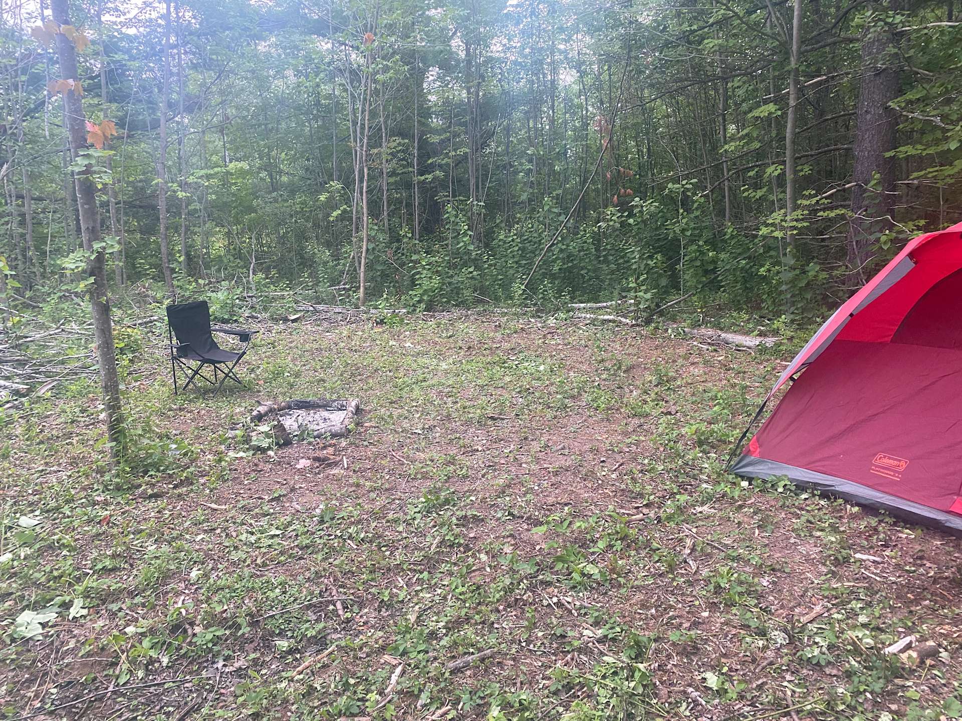 GichiGami Christmas Tree Farm Hipcamp in Ashland, Wisconsin