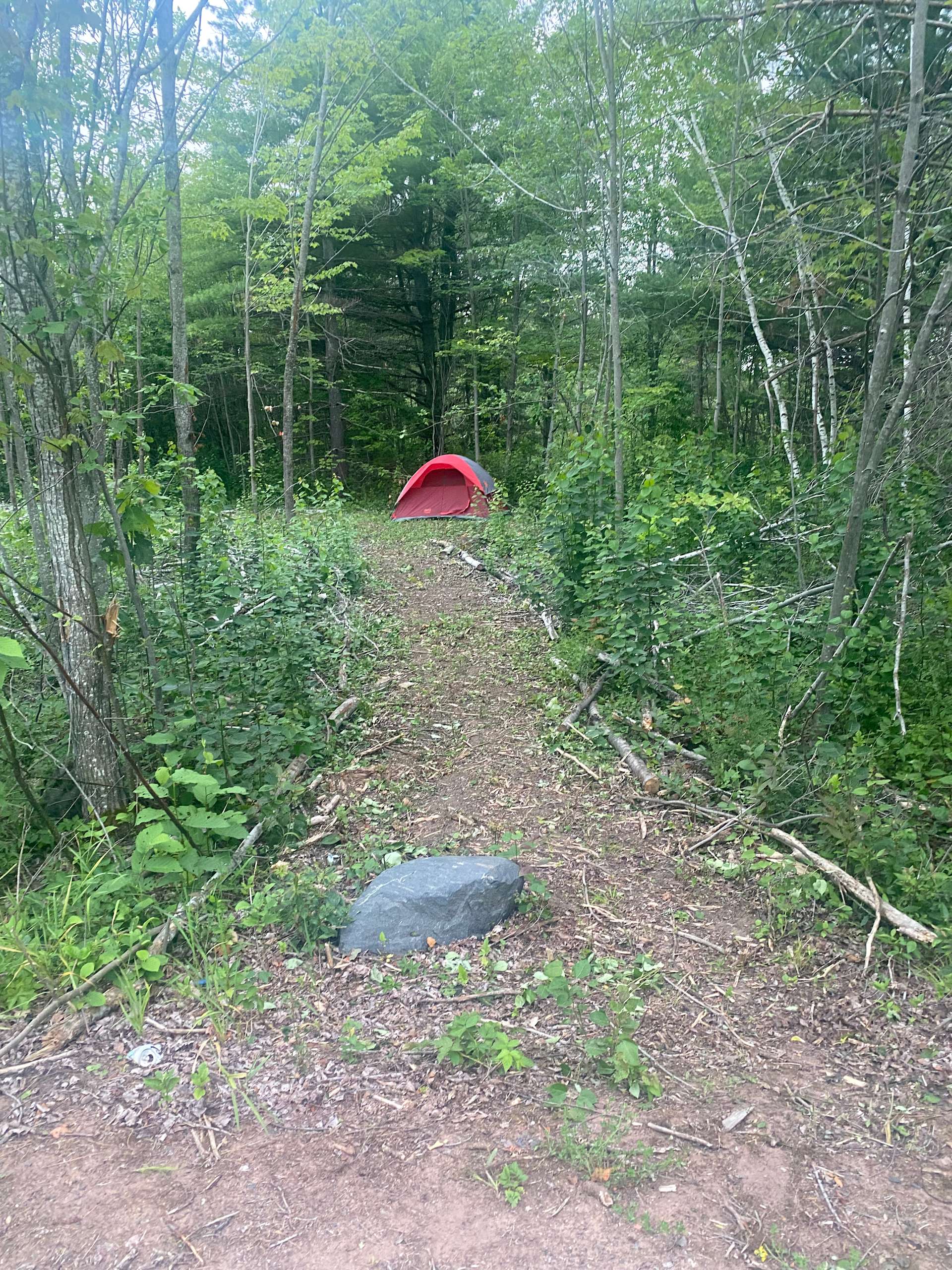 GichiGami Christmas Tree Farm Hipcamp in Ashland, Wisconsin