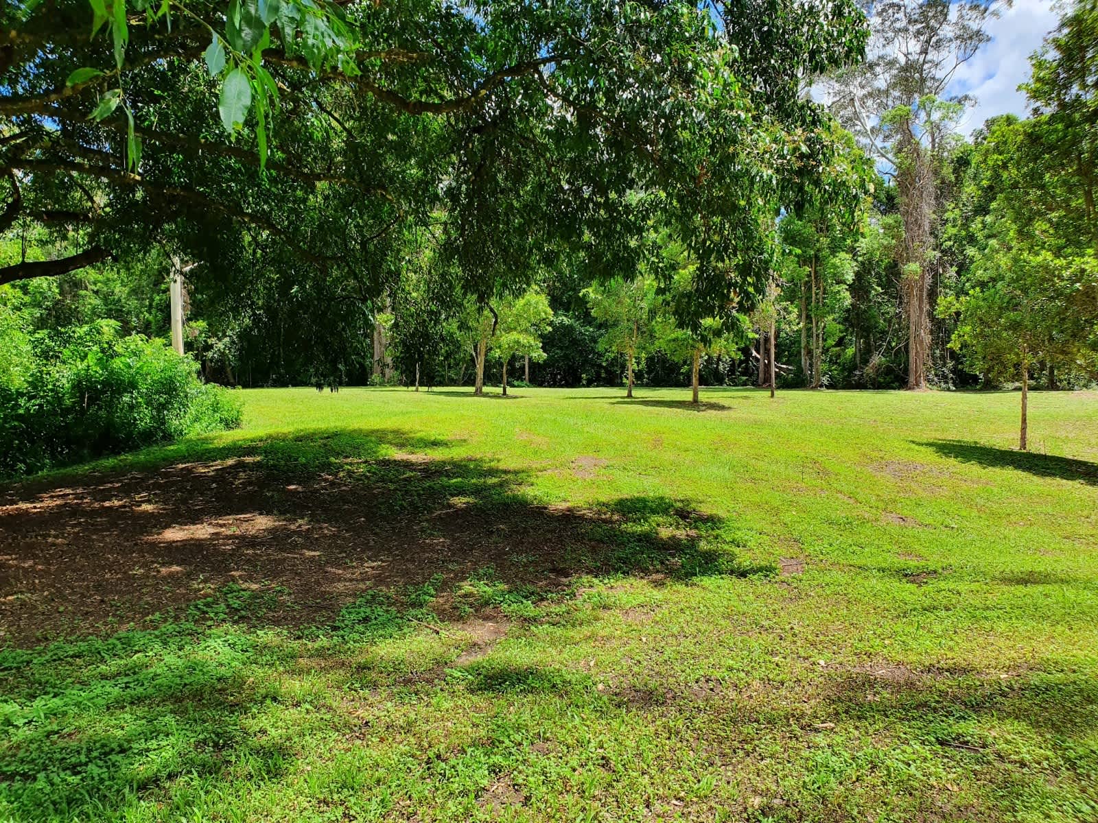 Belli Glades - Hipcamp in Belli Park, Queensland