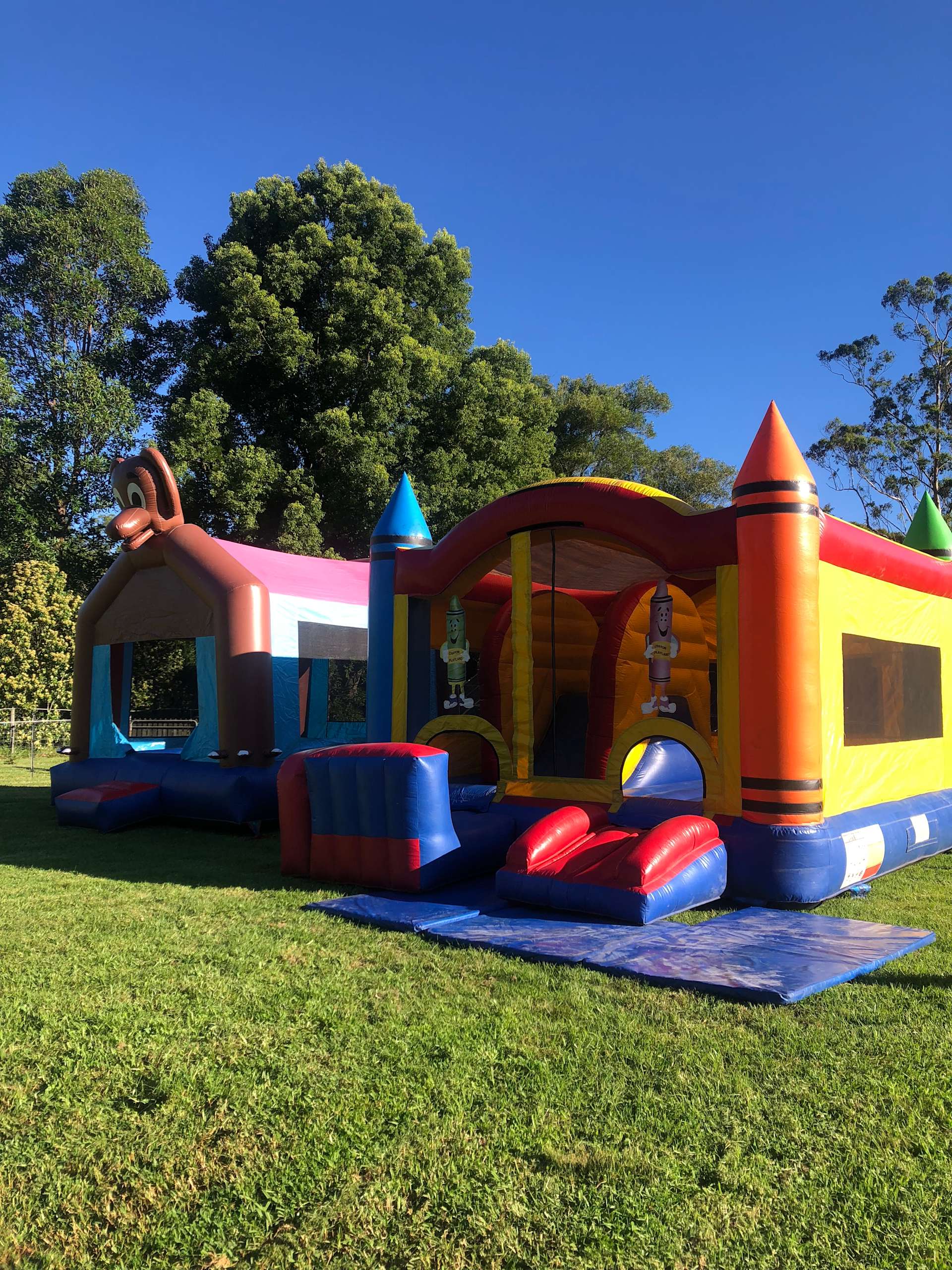 Myrtle Ridge farm Hipcamp in Ourimbah, New South Wales