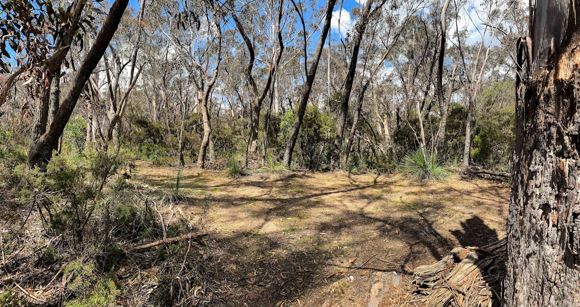 Camp Medlow Hipcamp in Medlow Bath, New South Wales