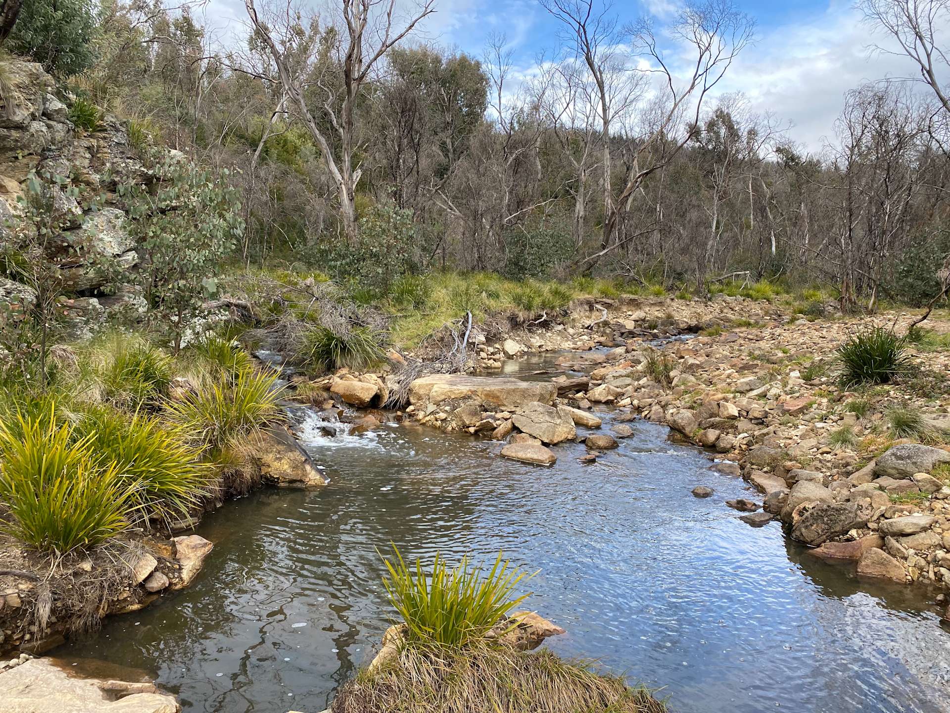 Two Creeks Meet Hipcamp in Wulgulmerang East, Victoria