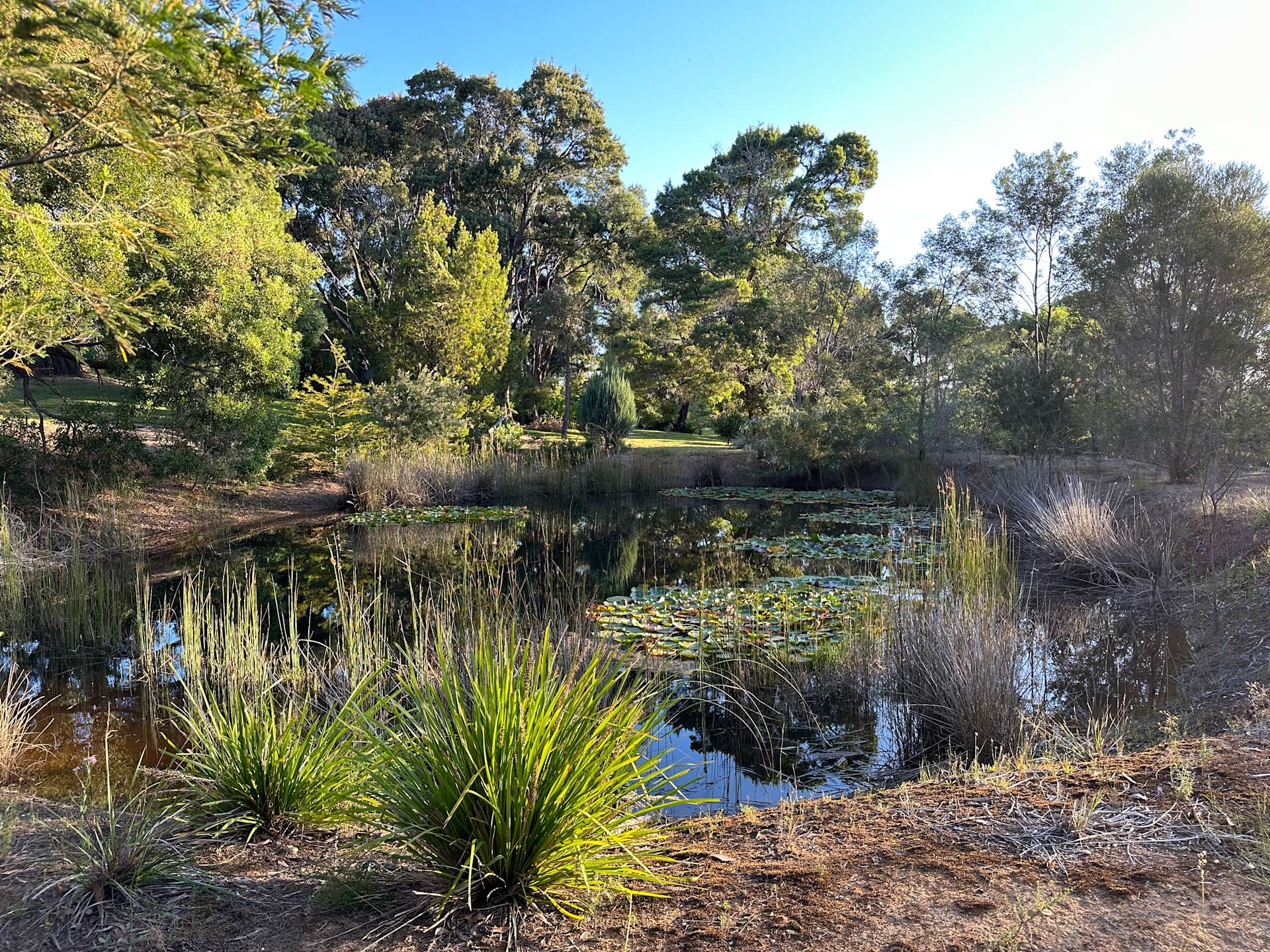 Stockyard Lane Hipcamp in Cabbage Tree Creek, Victoria