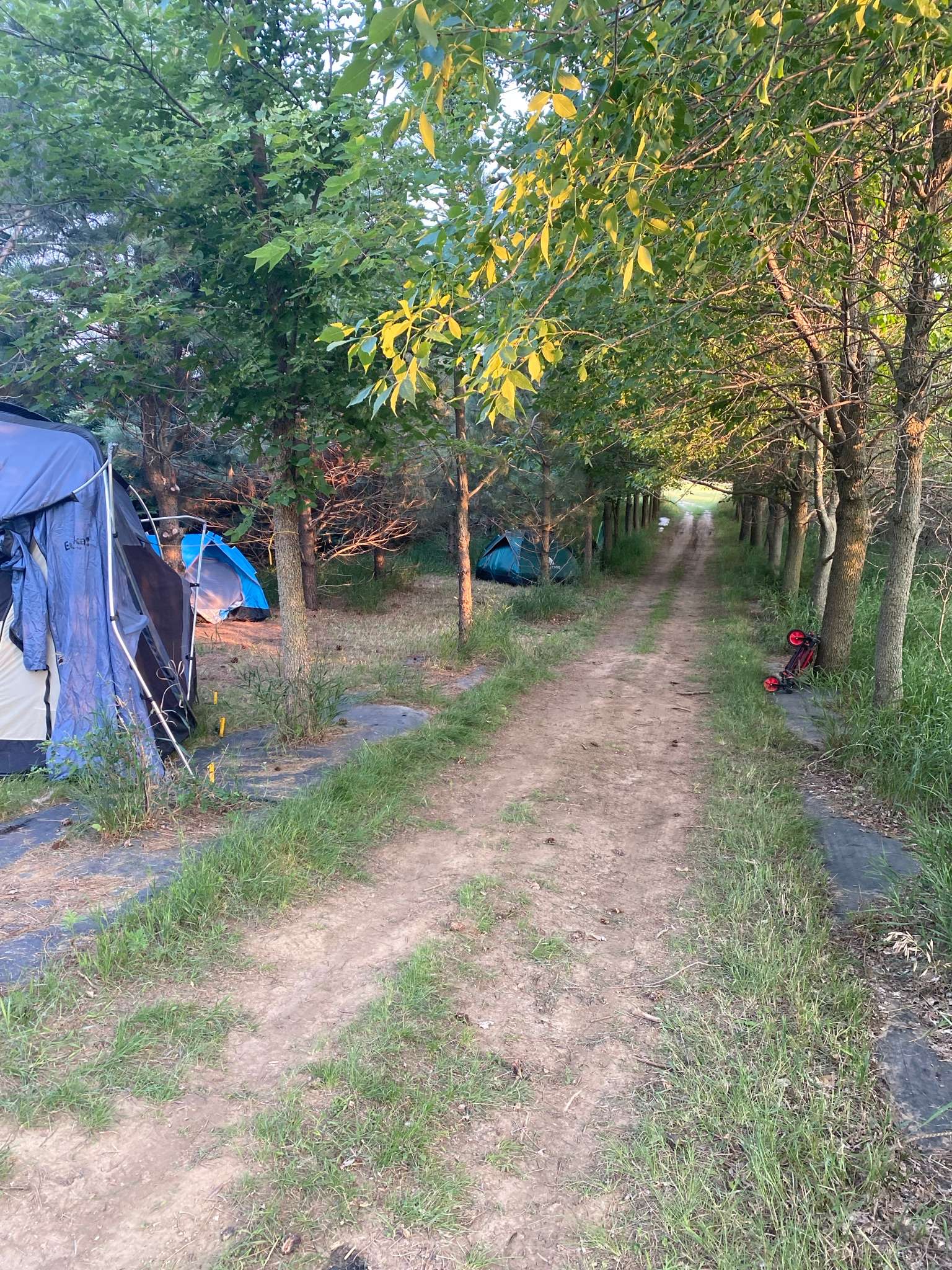 Secluded and Serene Tentground Hipcamp in Garretson, South Dakota