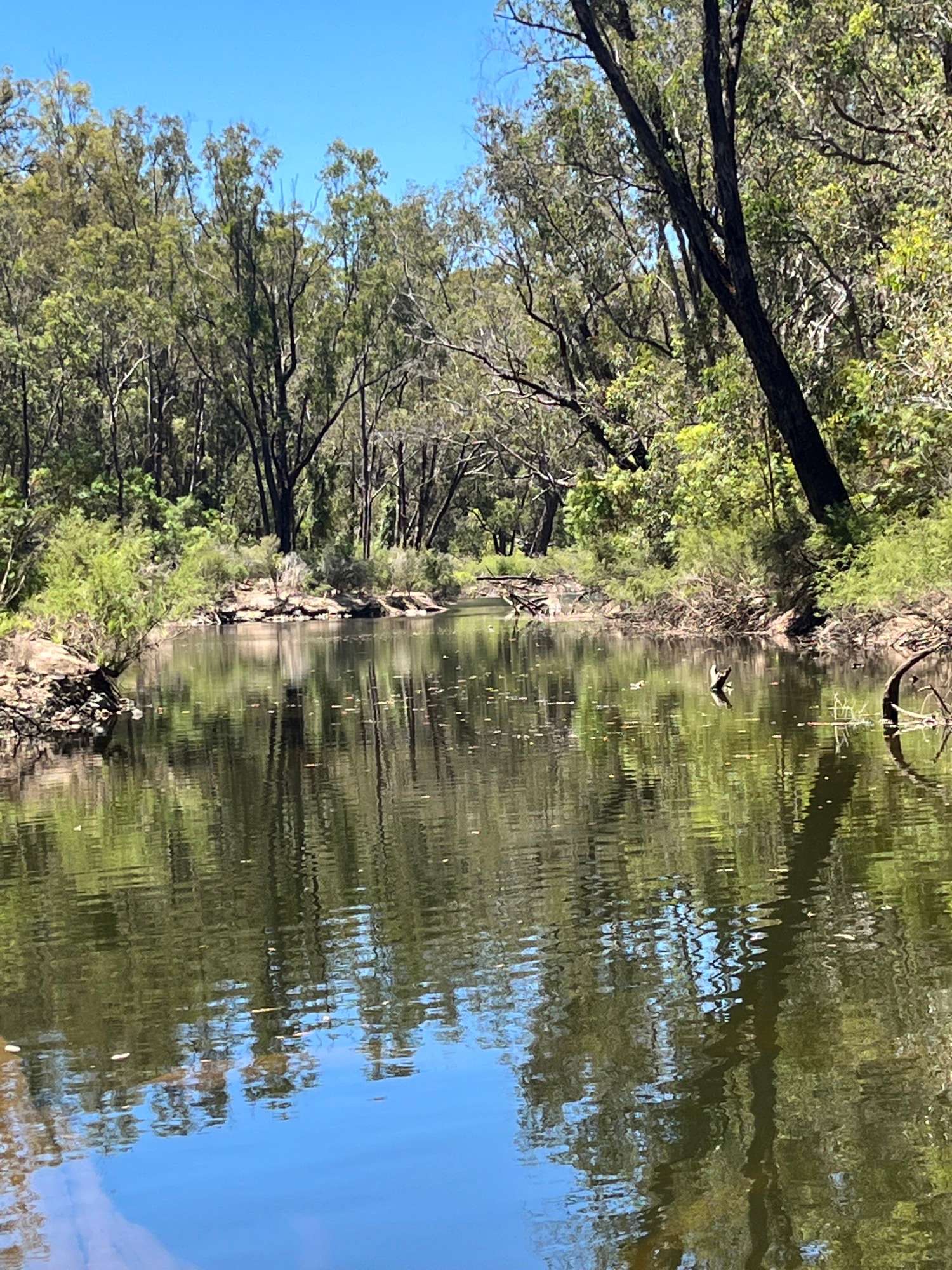 Nanga River Retreat, Dwellingup. Hipcamp in Nanga Brook, Western