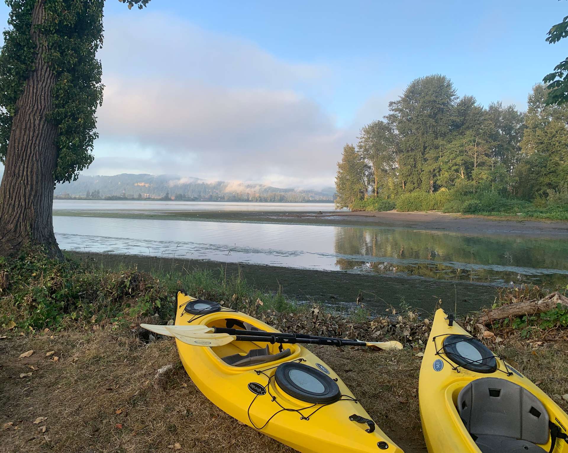 Island within Hipcamp in Cathlamet, Washington